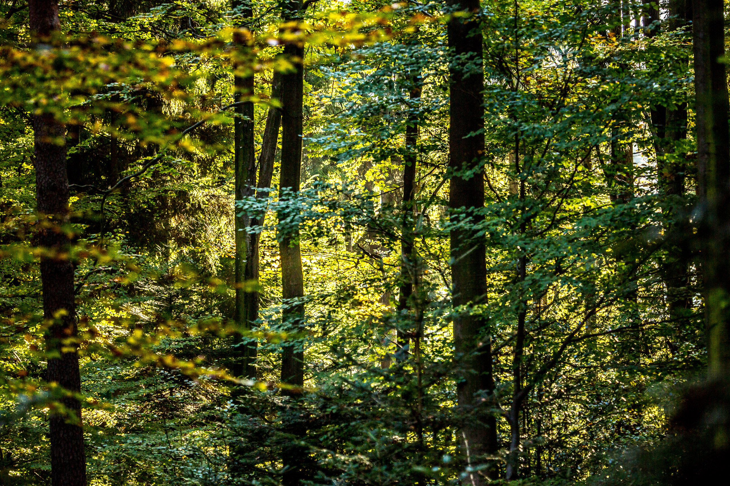 20141024100357 RD 75934