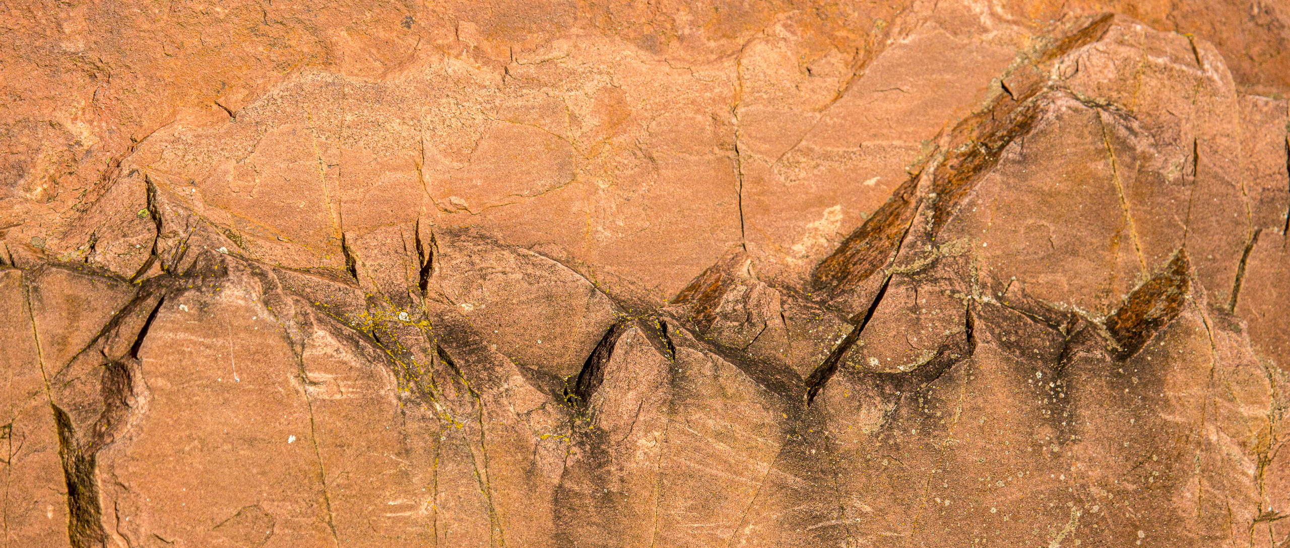 20141024101444 RD 75951