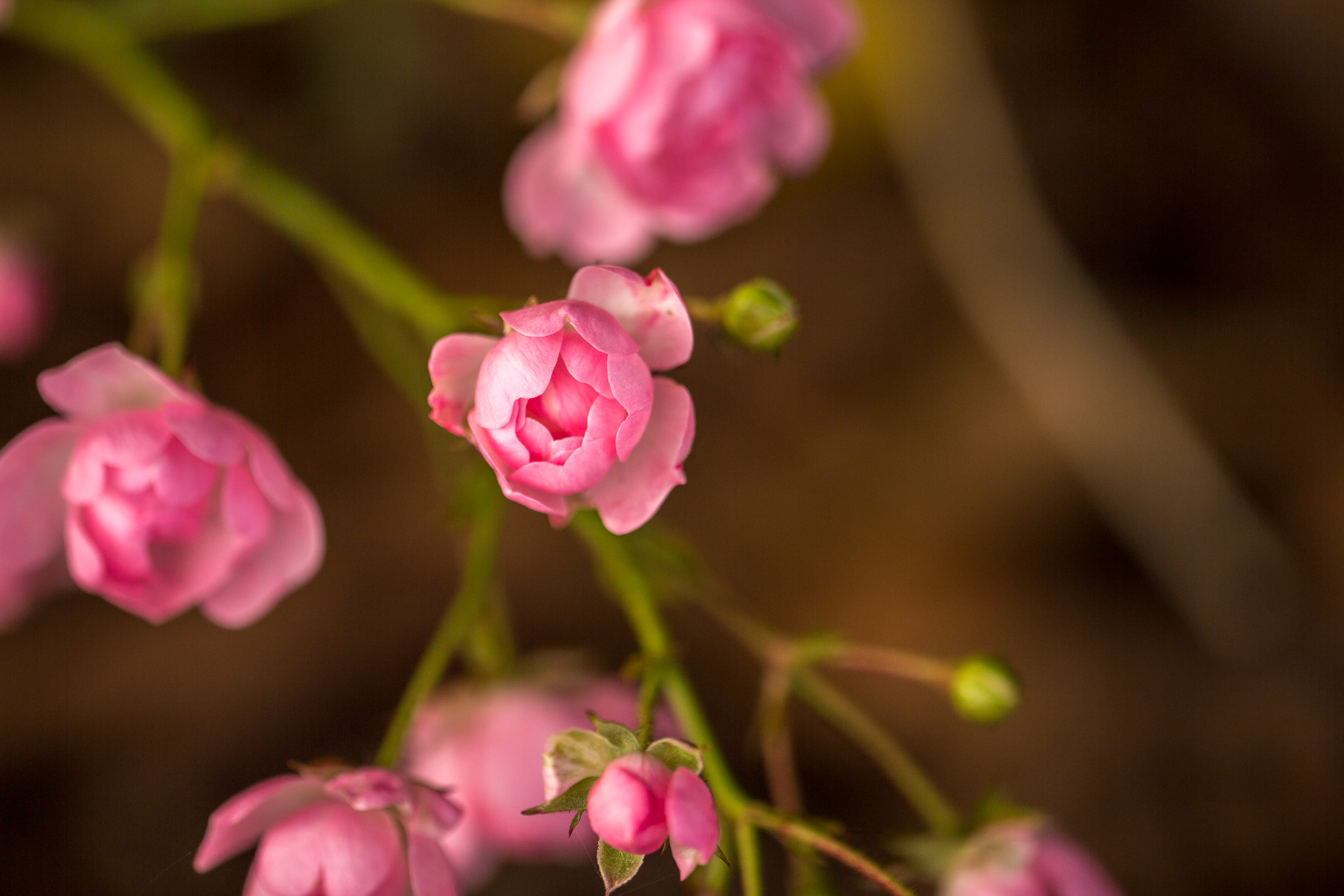 20141025141459 RD 76111