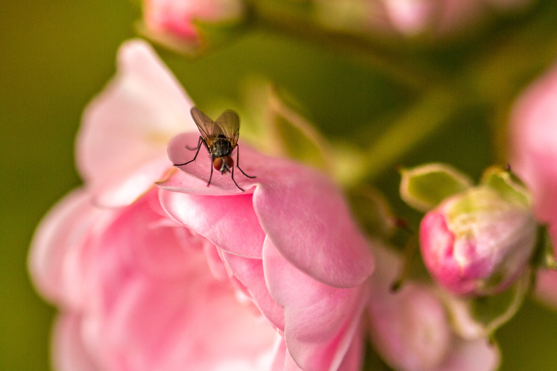 20141025141541 RD 76129