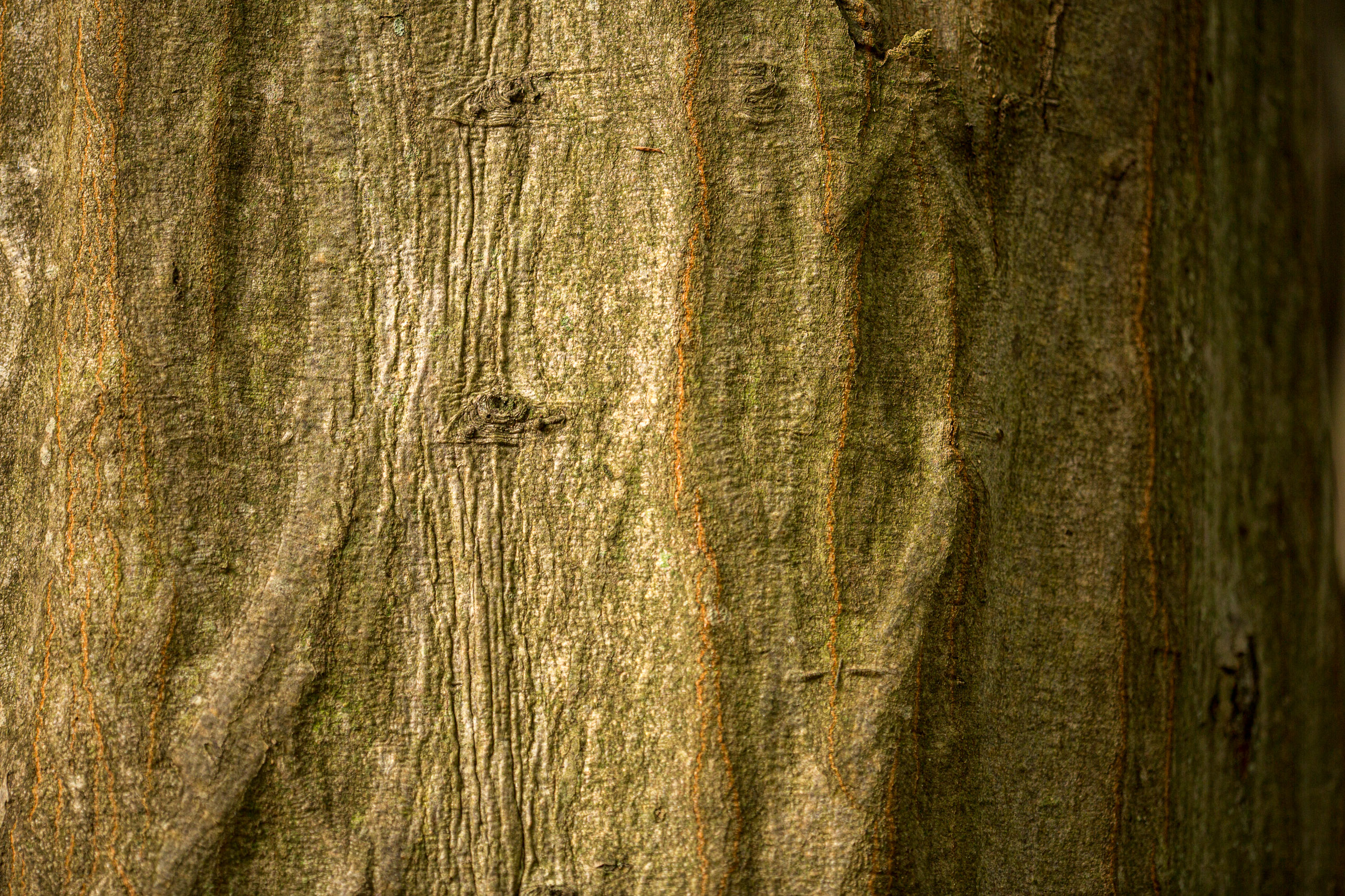 20141025142027 RD 76135