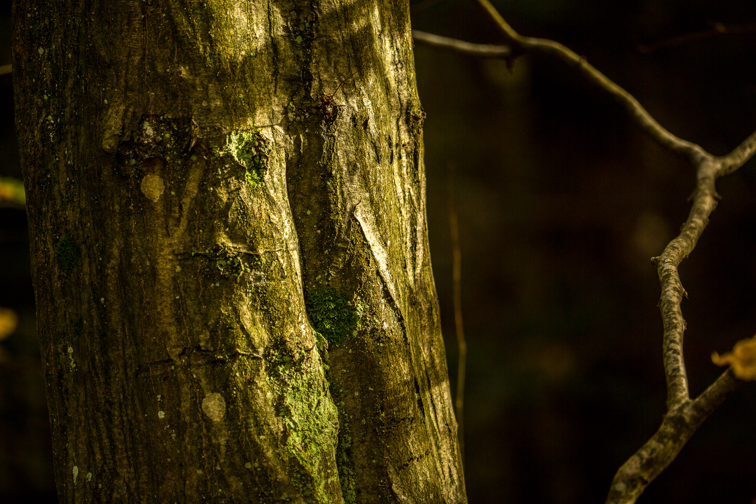 20141025142724 RD 76161