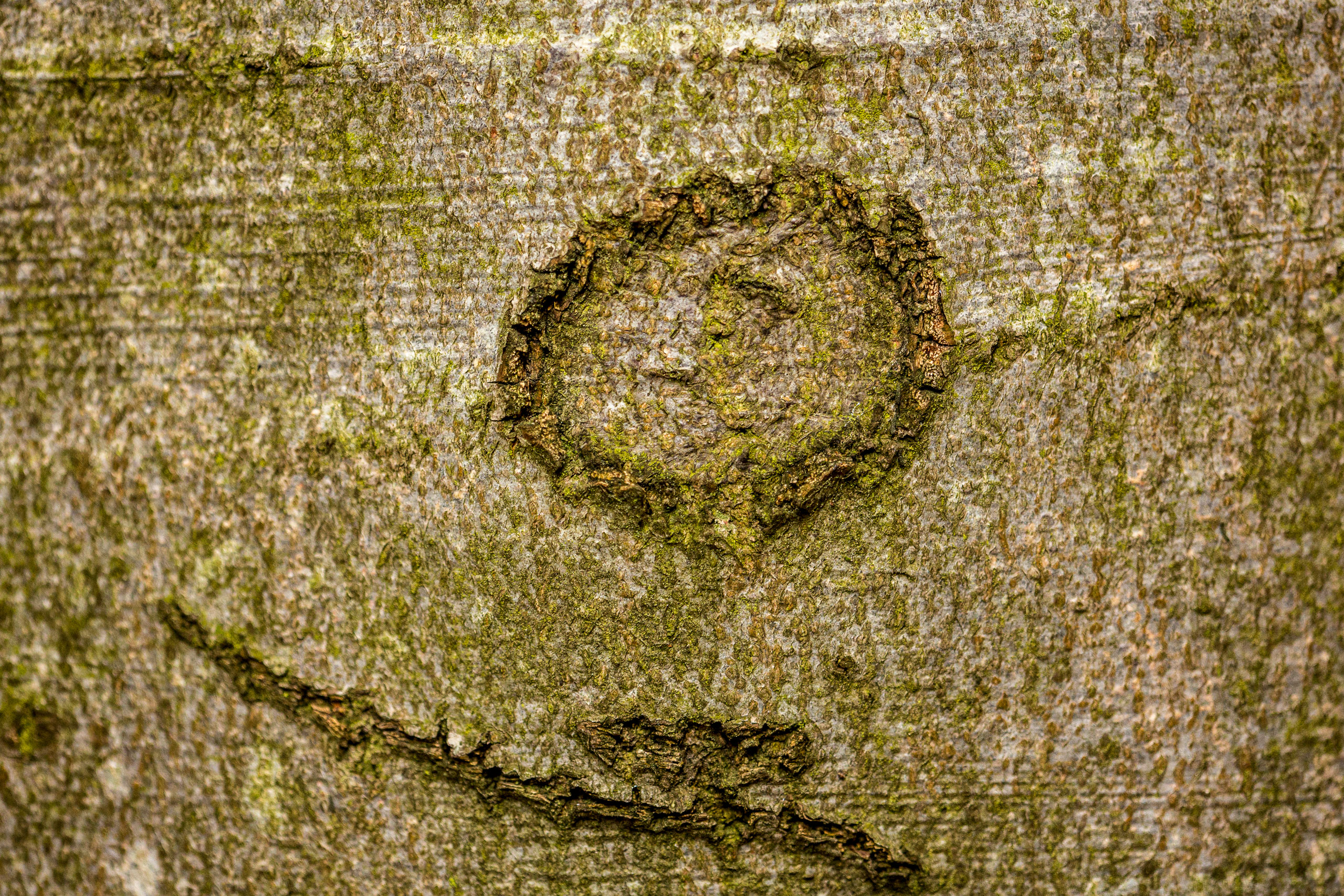 20141025143145 RD 76183