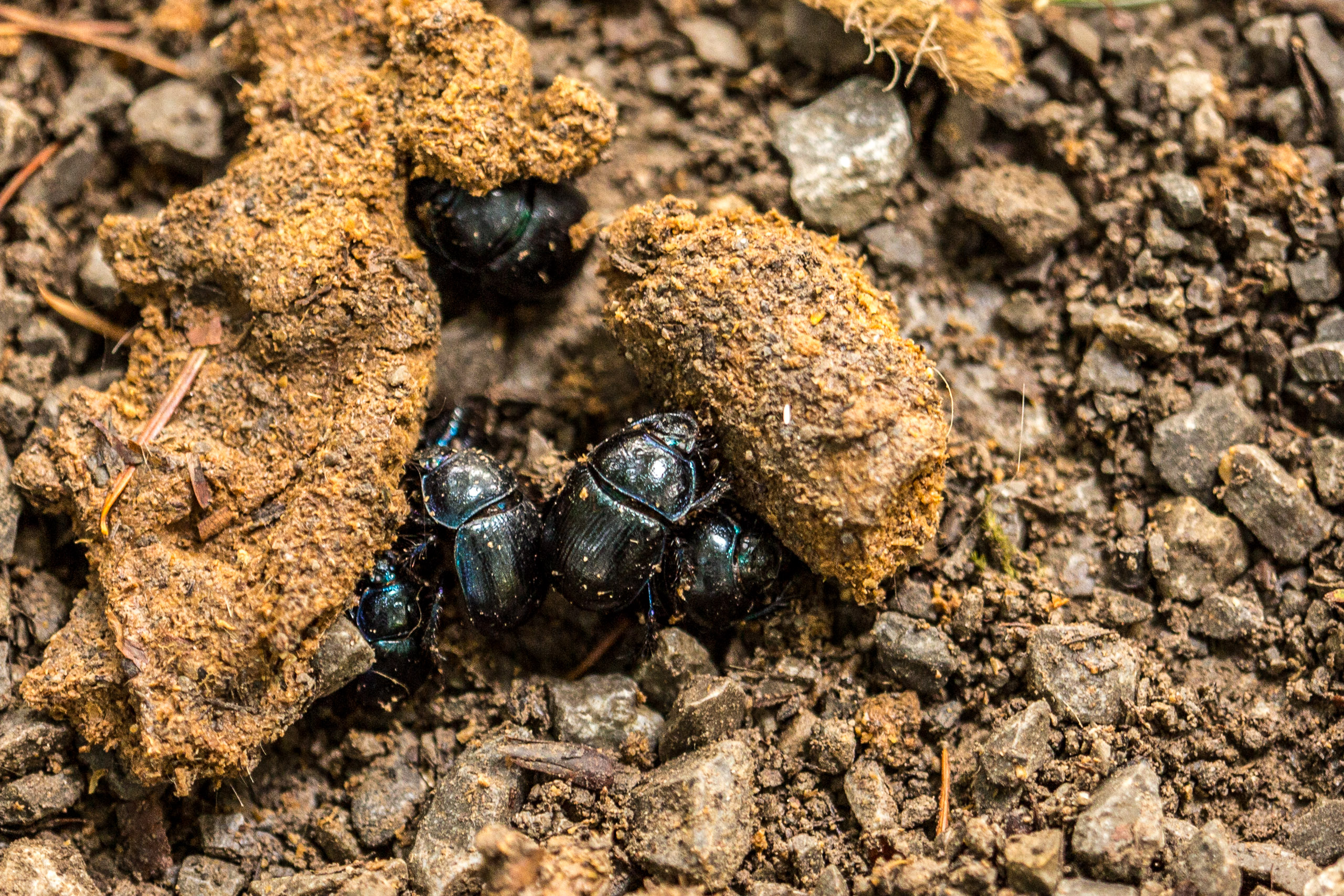 20141025143314 RD 76188