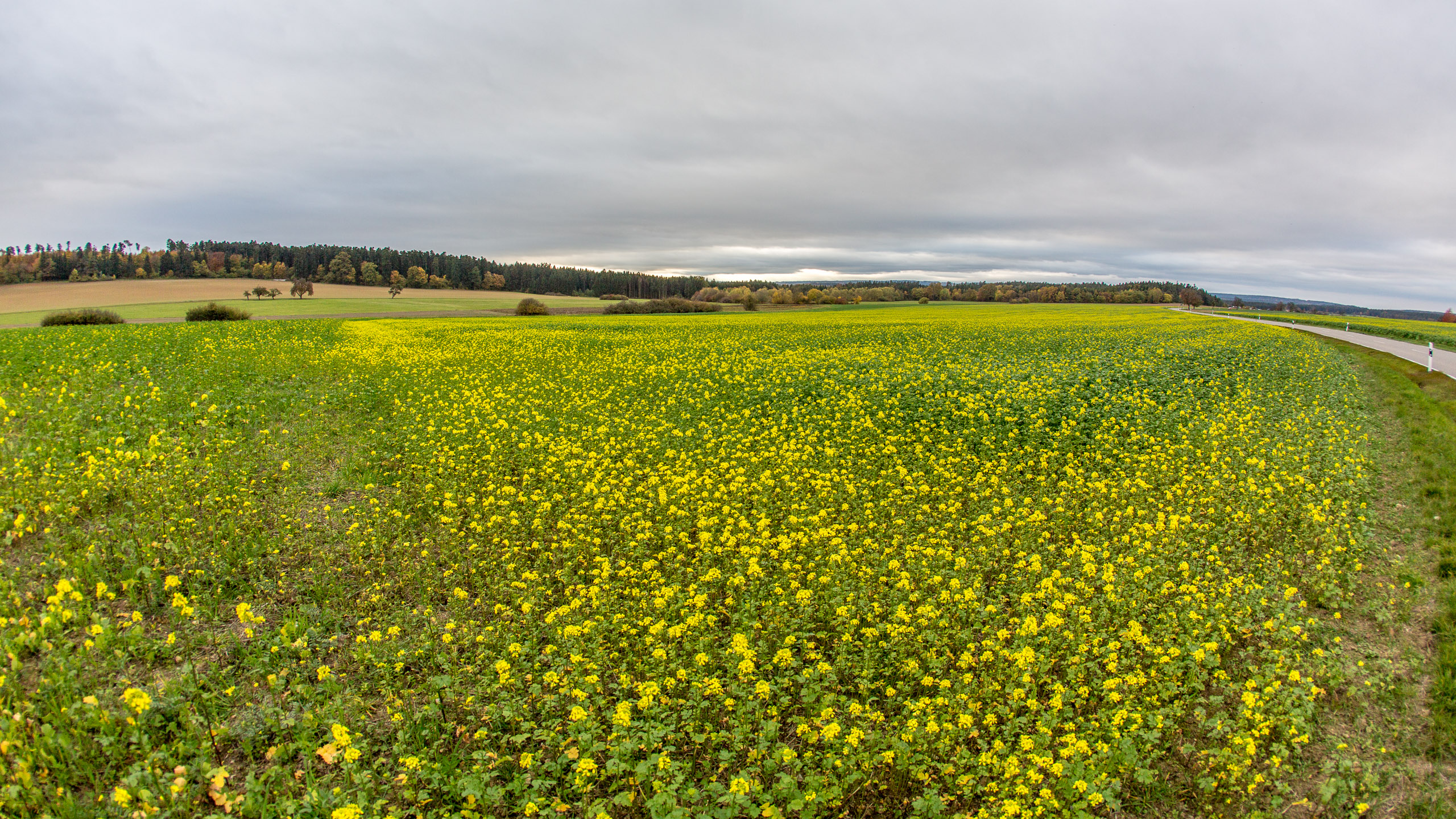 20151022171554 RD100519