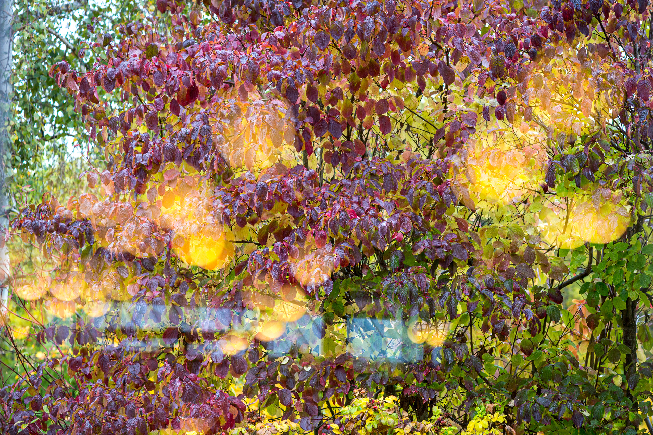 20151023101129 RD100546