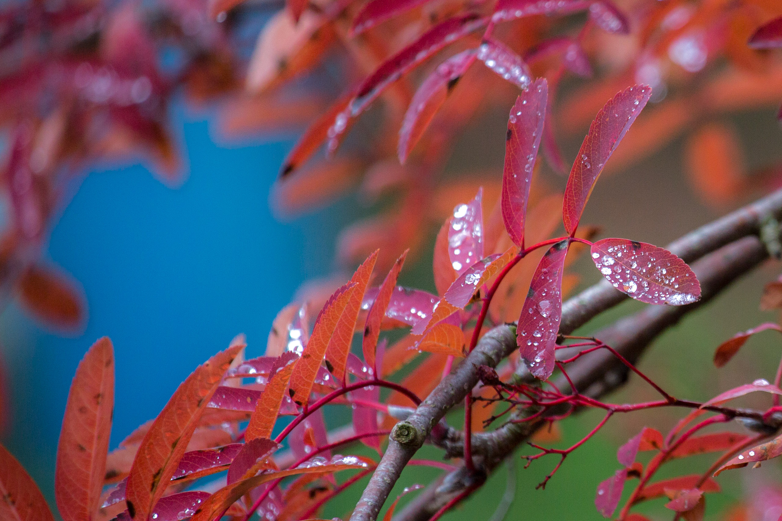 20151023135847 RD100562