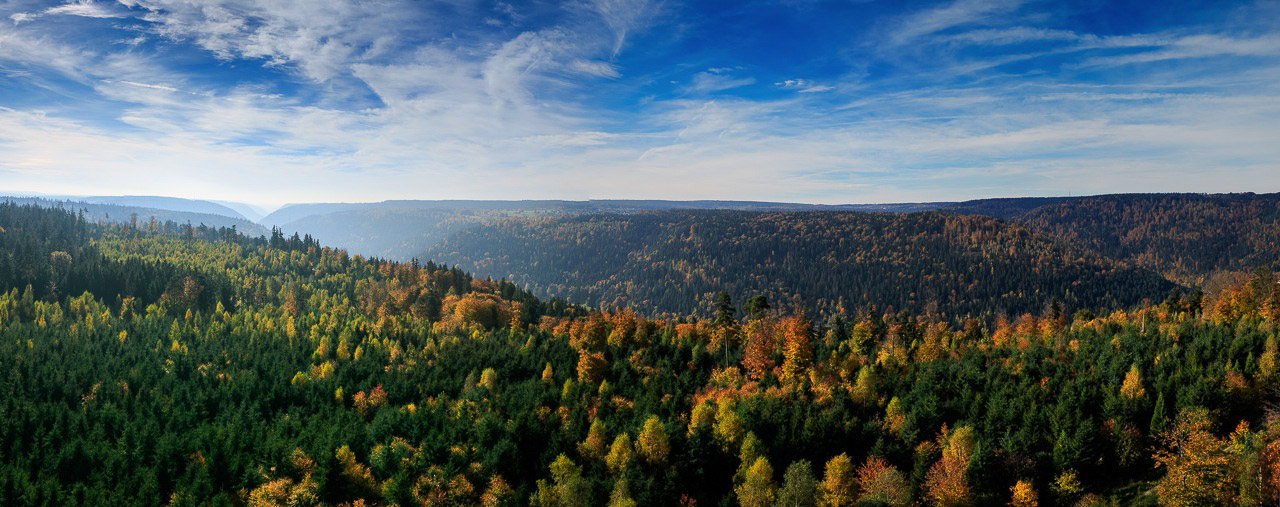 20151024110033 22468597955 4d5a23ecc3 k