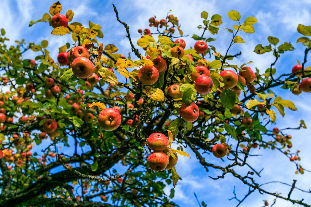 20151024110051 22502108791 fd10e4e92d k