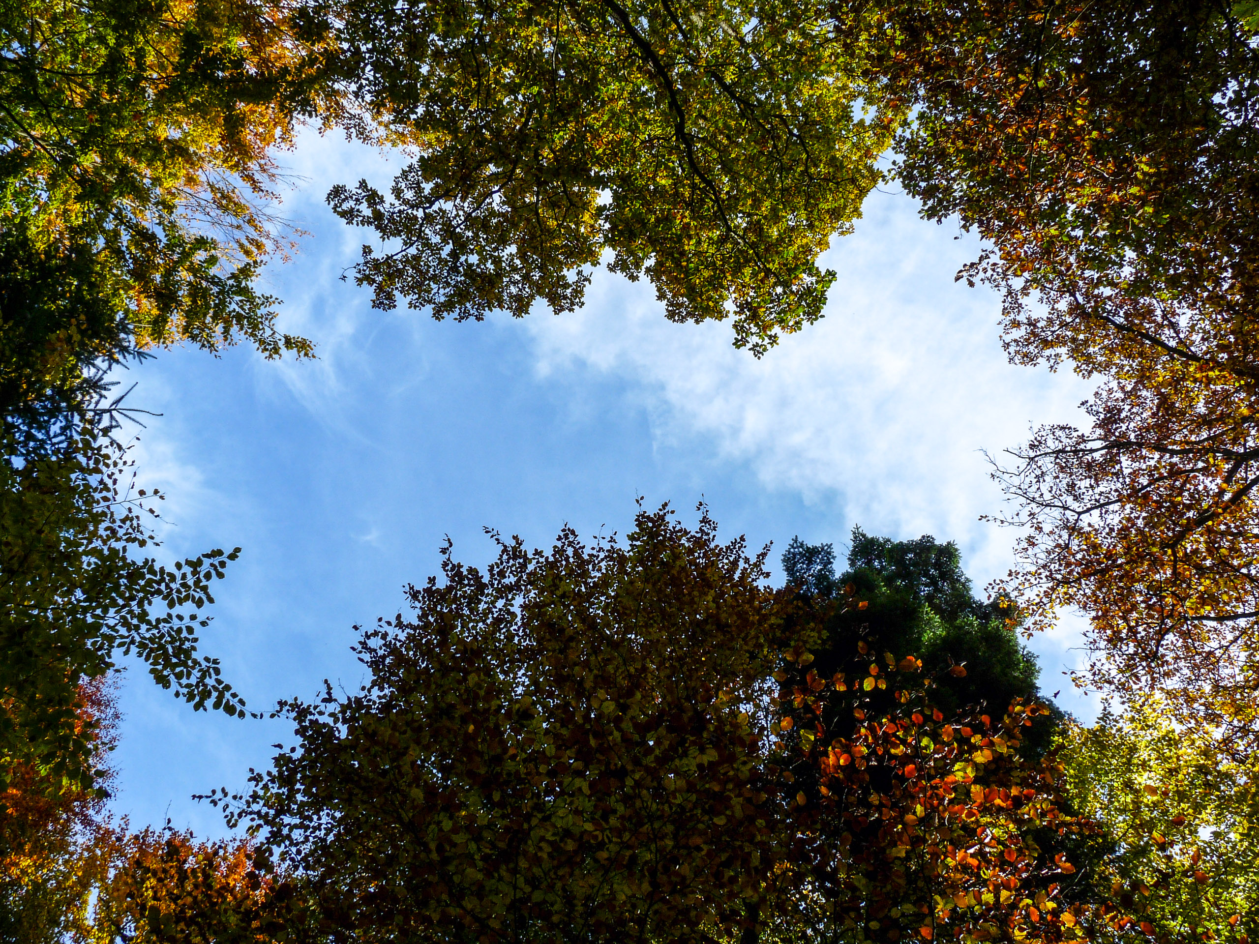 20151024122150 P1070909