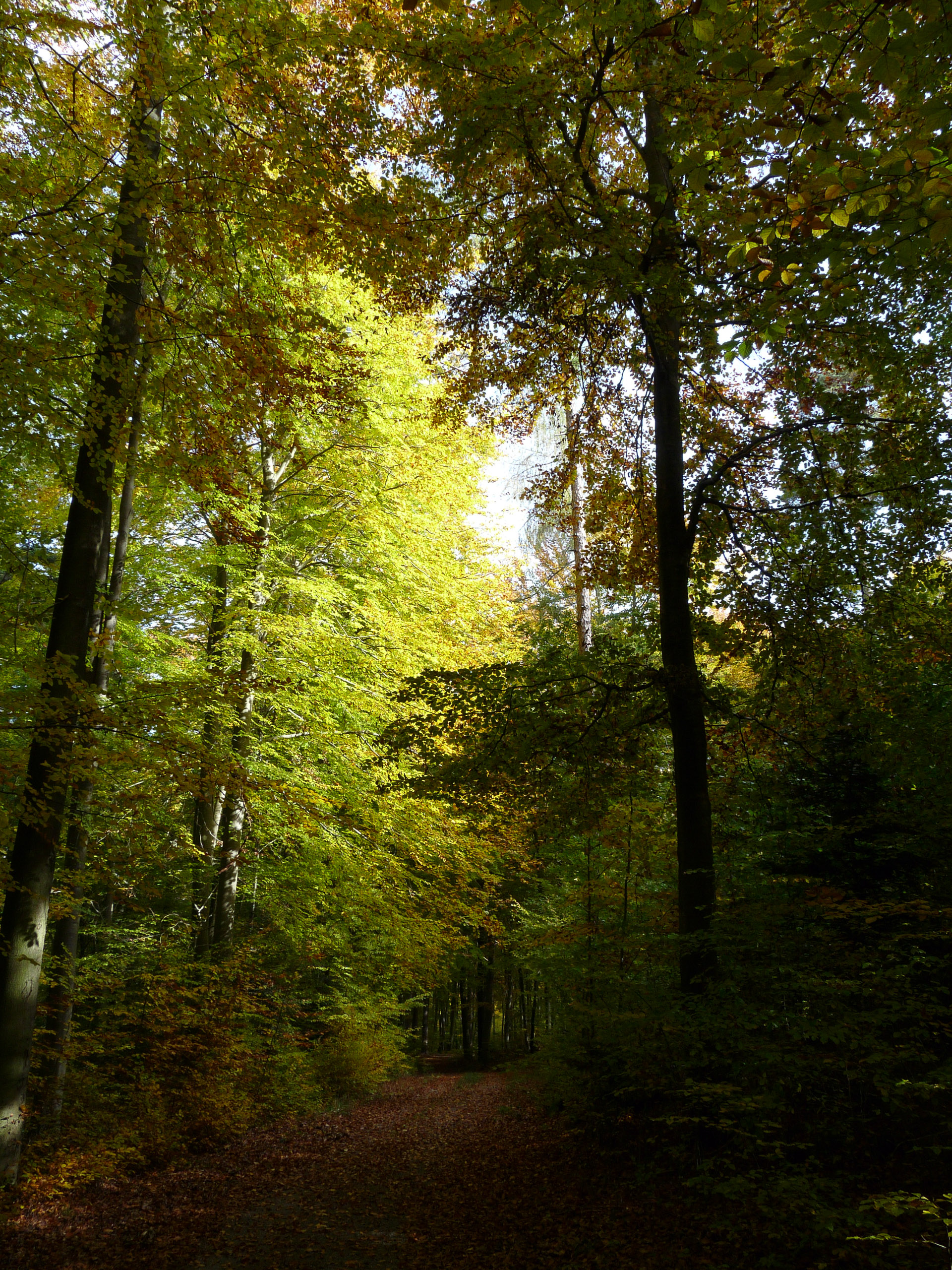 20151024122703 P1070915