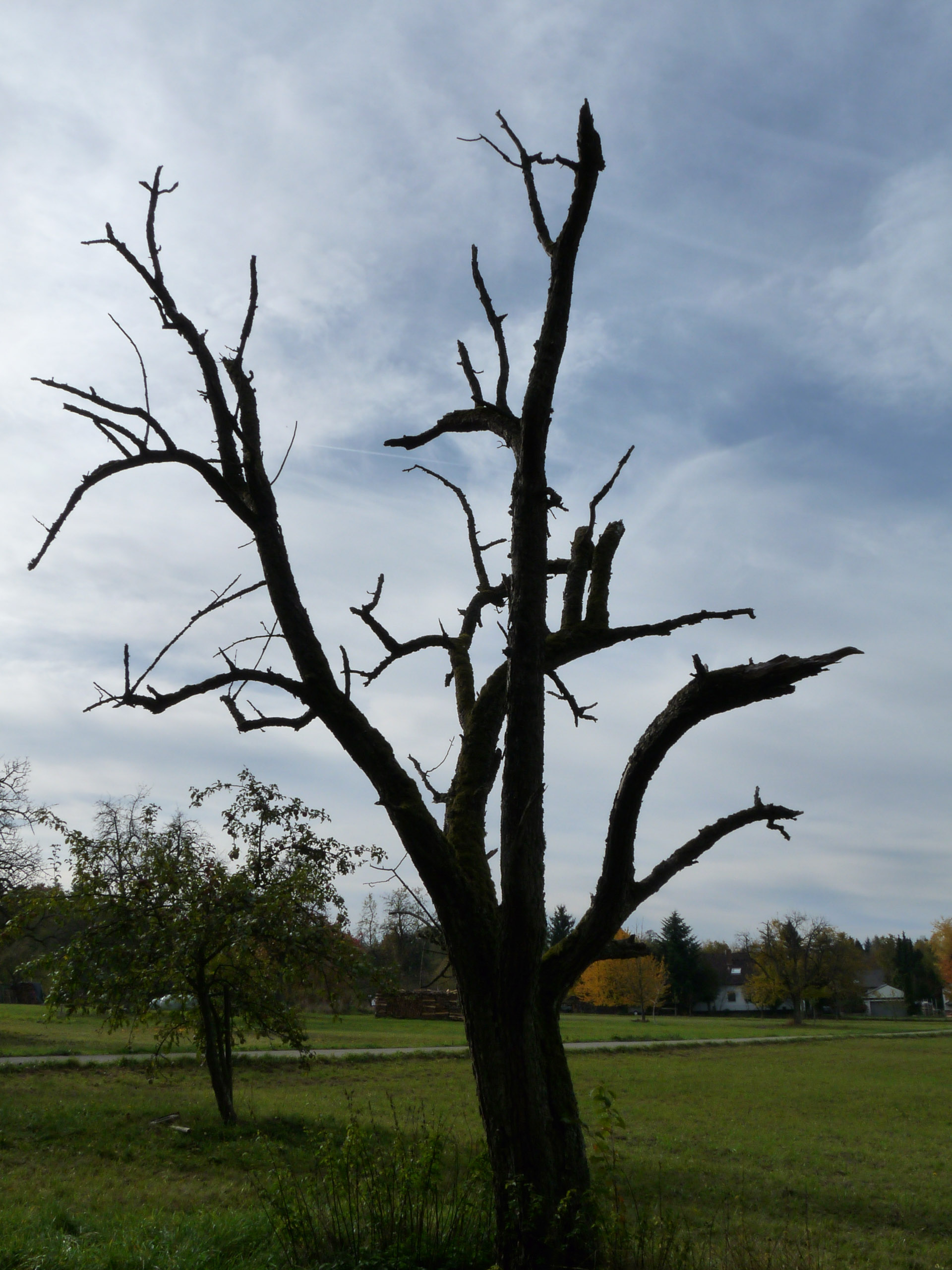 20151024124902 P1070923