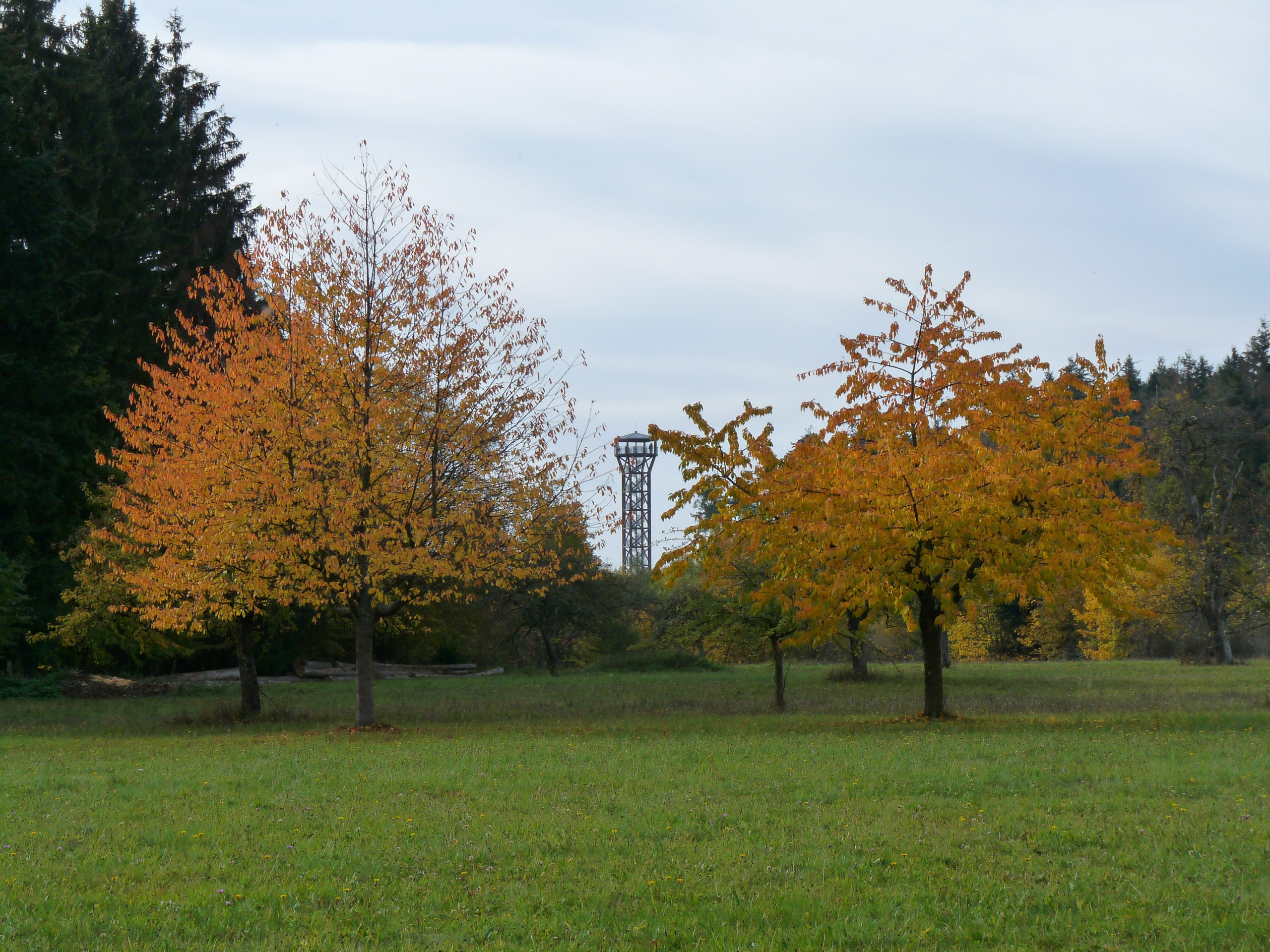 20151024130605 P1070931