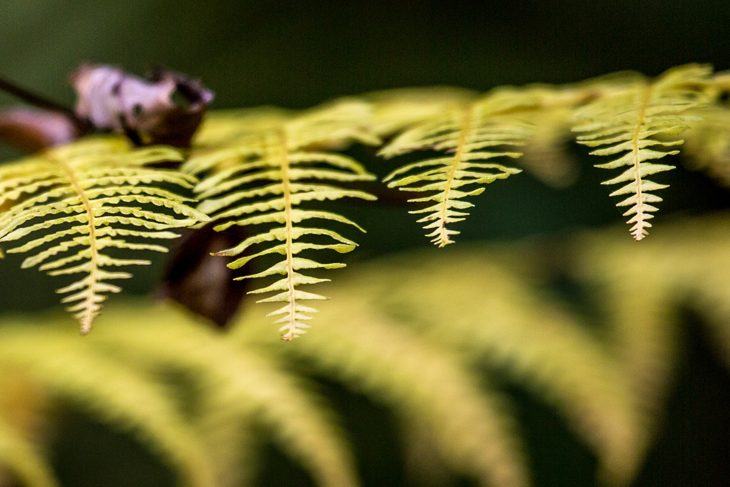 20151024132534 RD100744