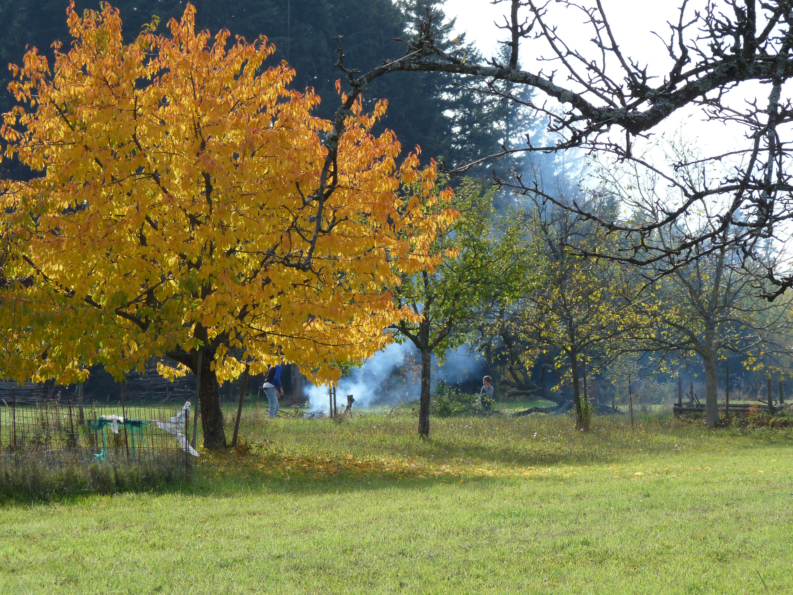 20151024140008 P1070964