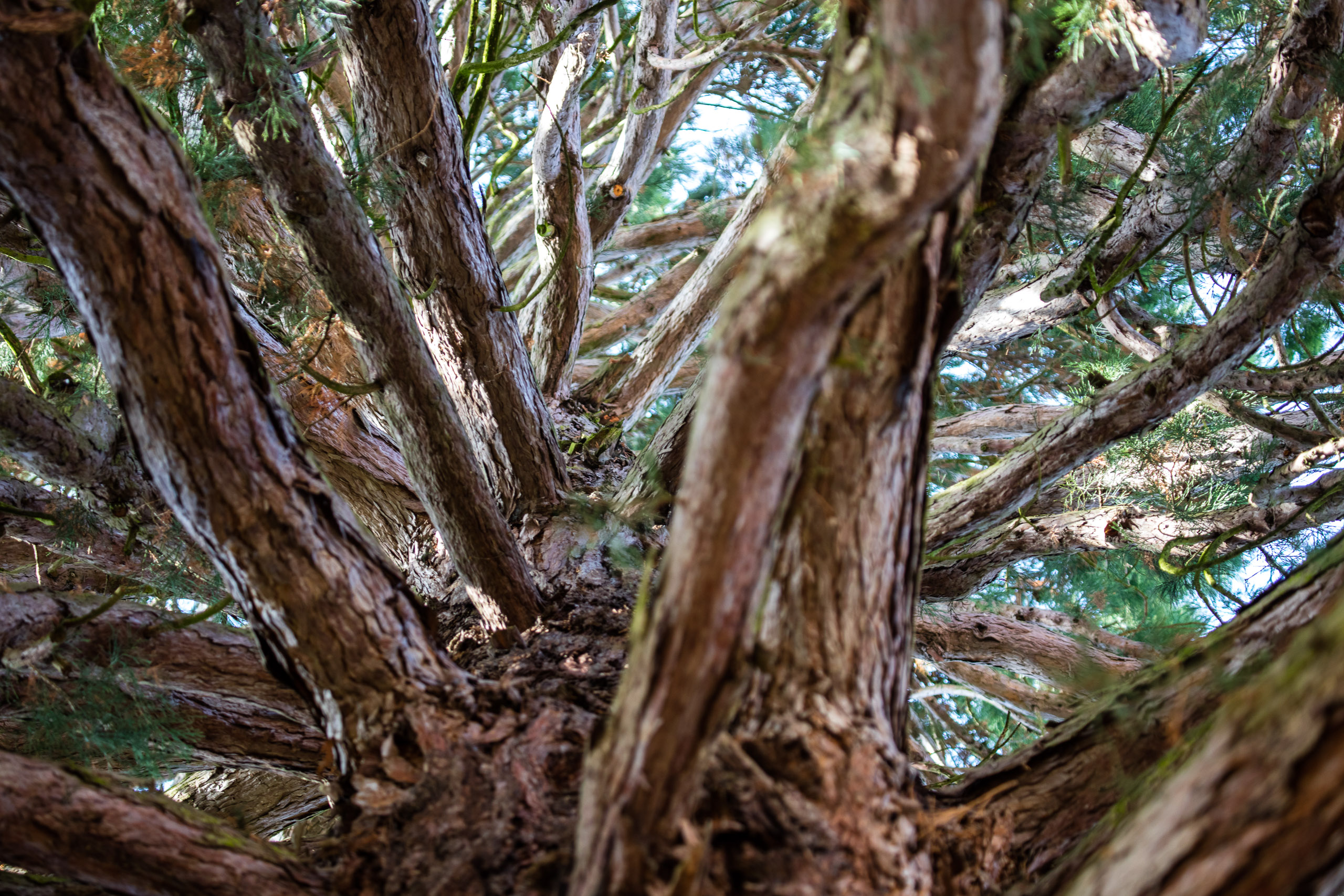 20161028144743 DP010002