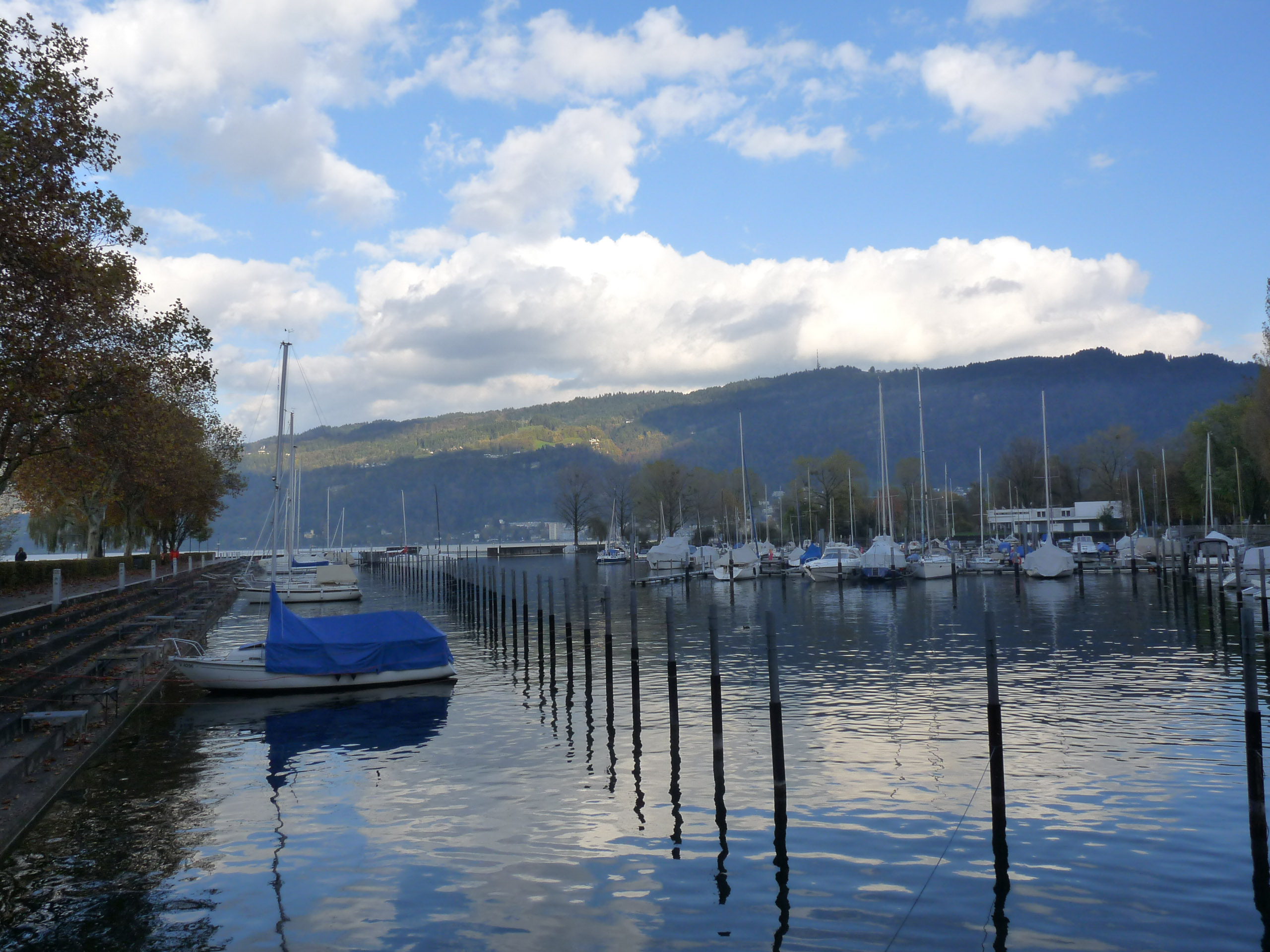 20171027155159 P1100748