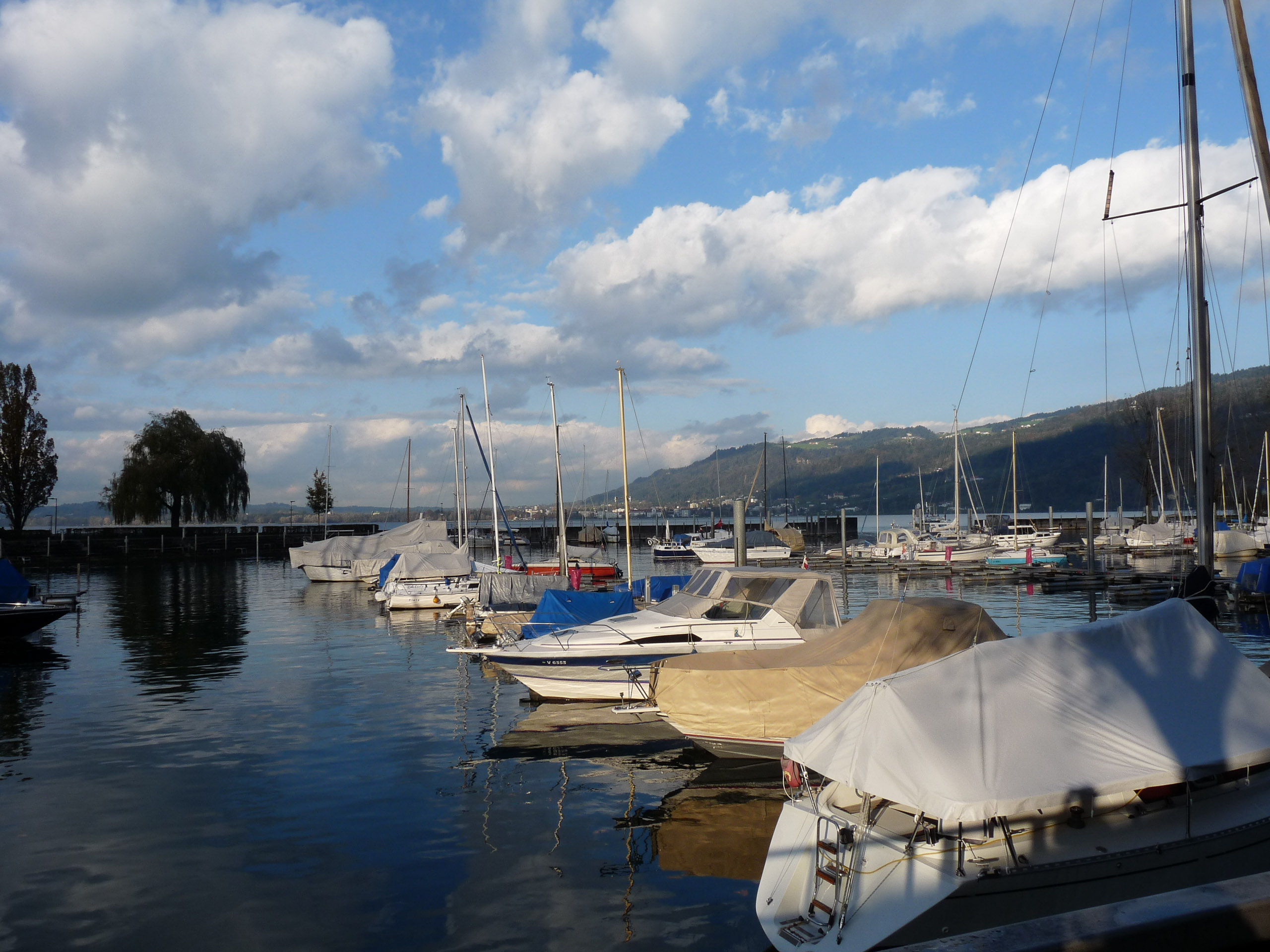 20171027155841 P1100753