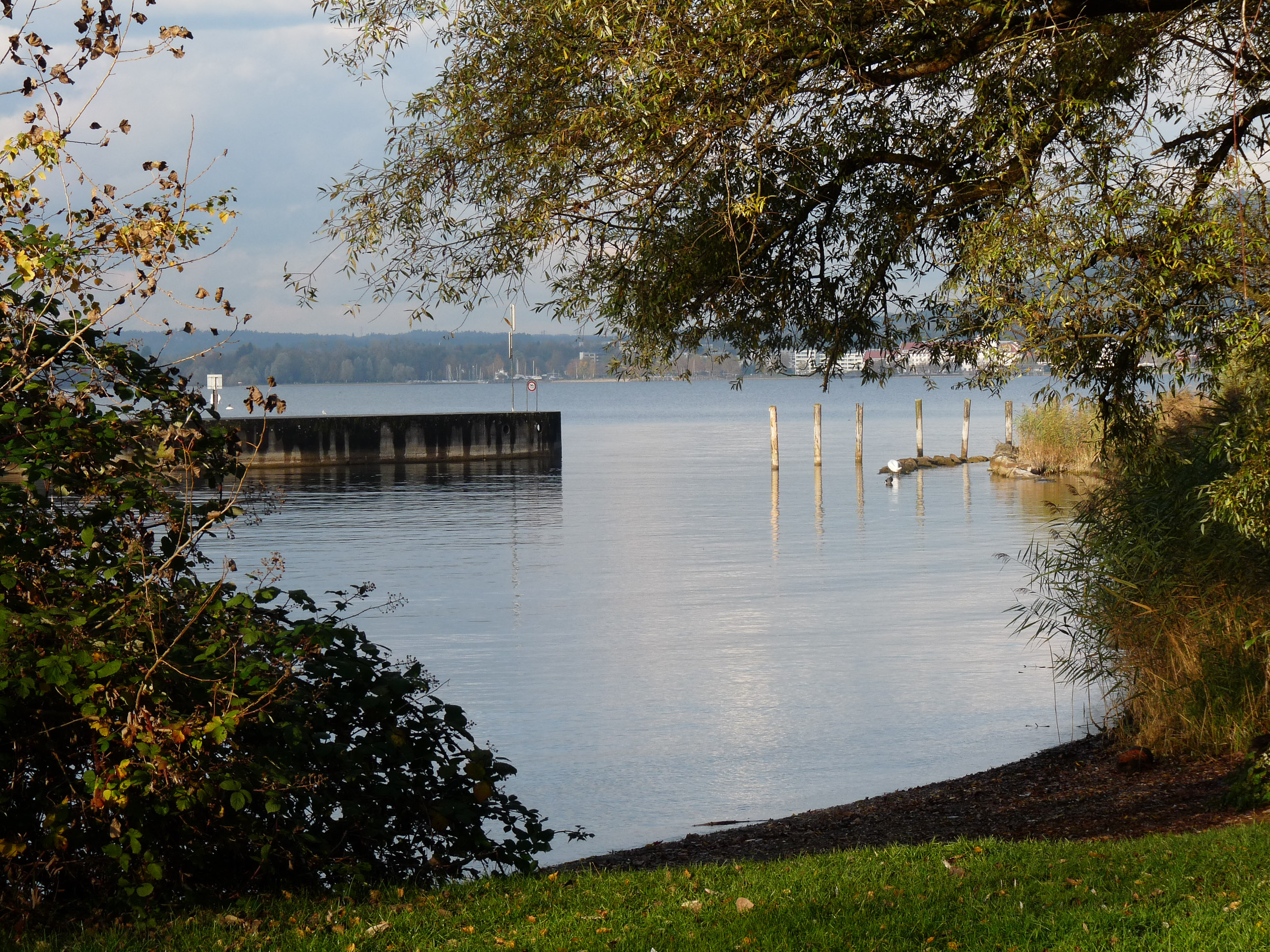 20171027160230 P1100756