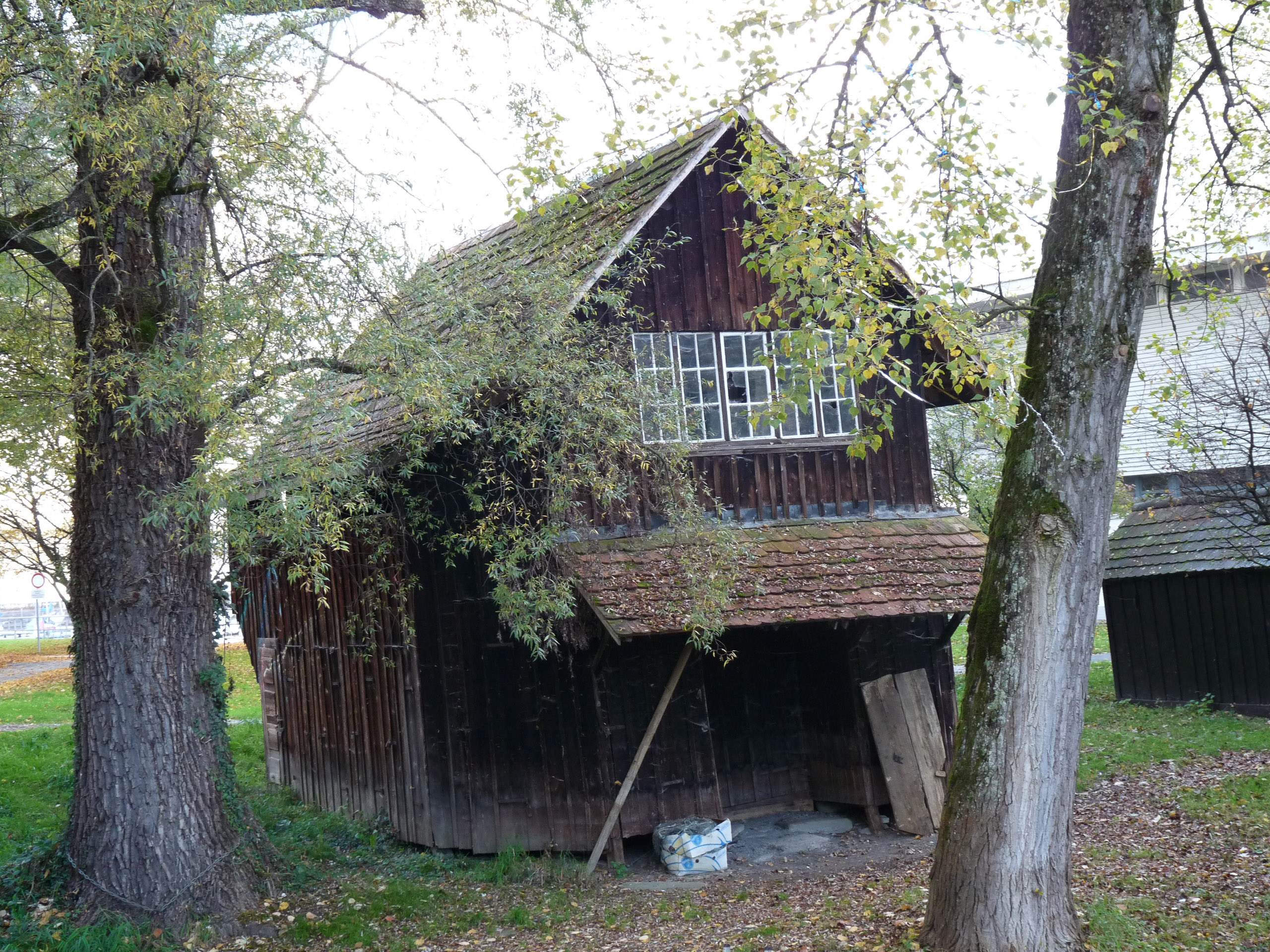 20171027162217 P1100766