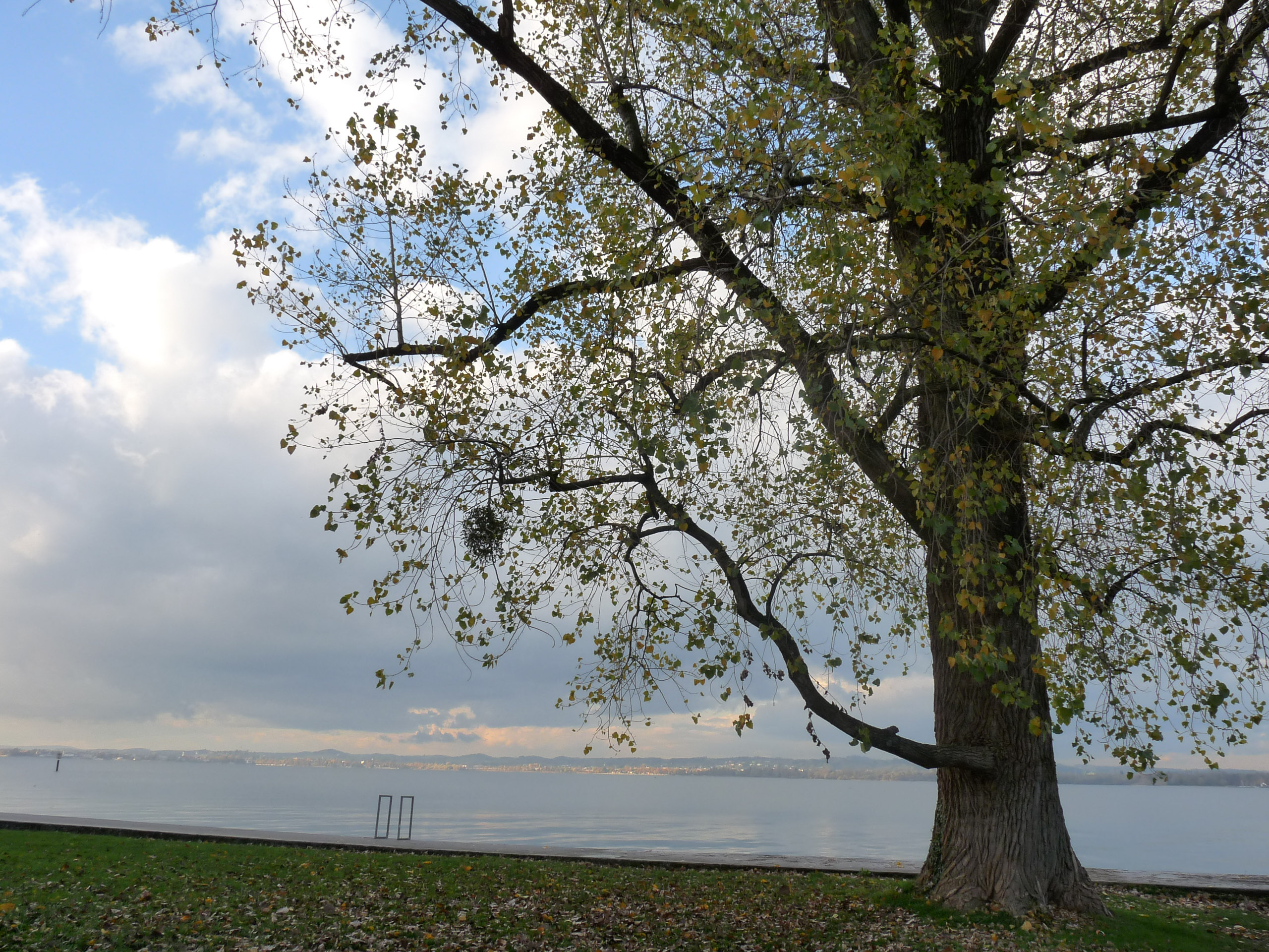 20171027162500 P1100769