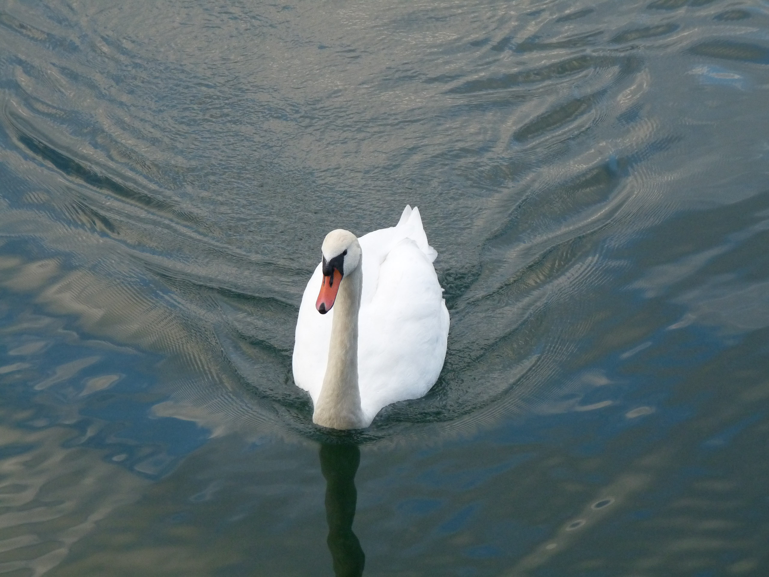 20171027162536 P1100771