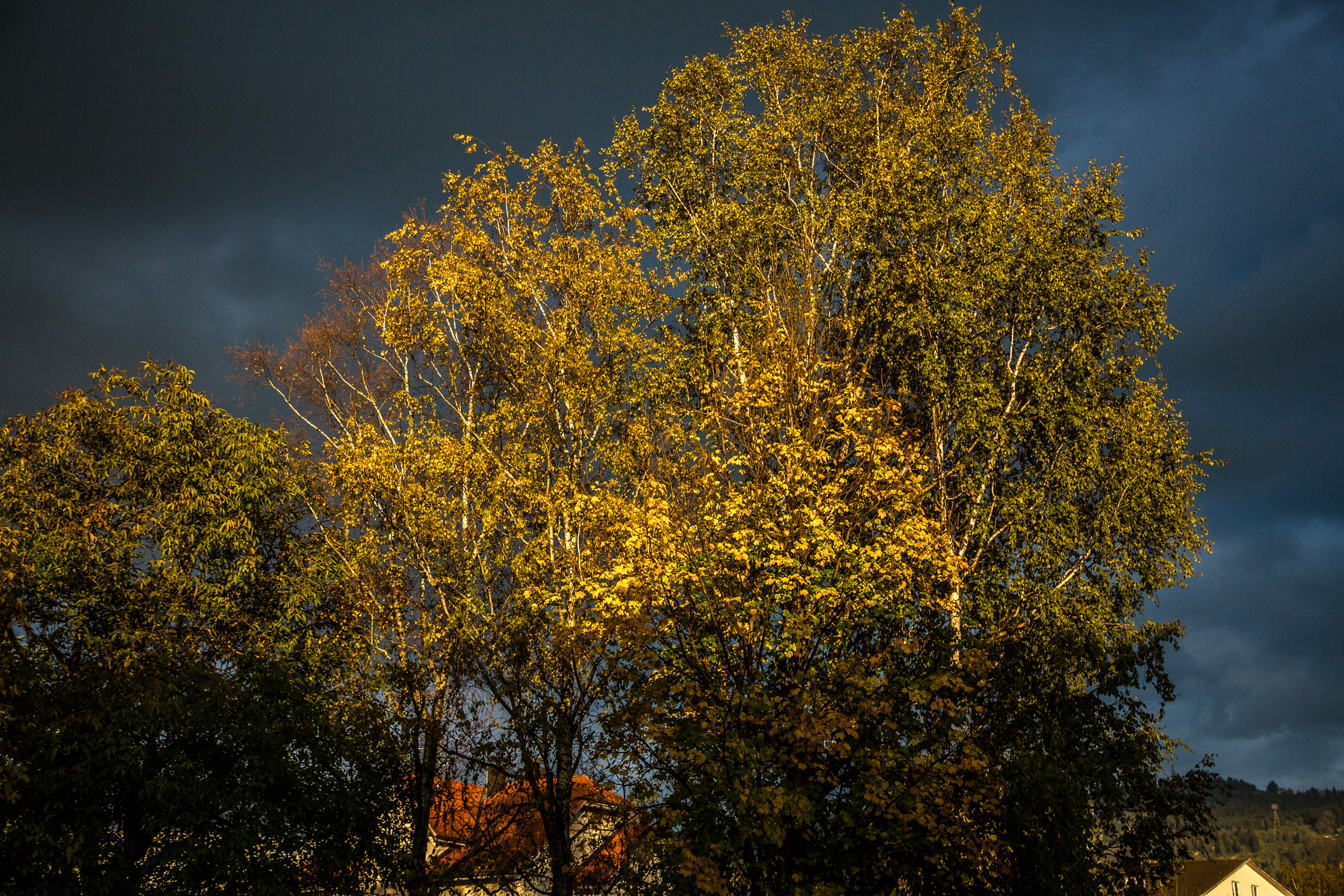 20171027172916 RD105184