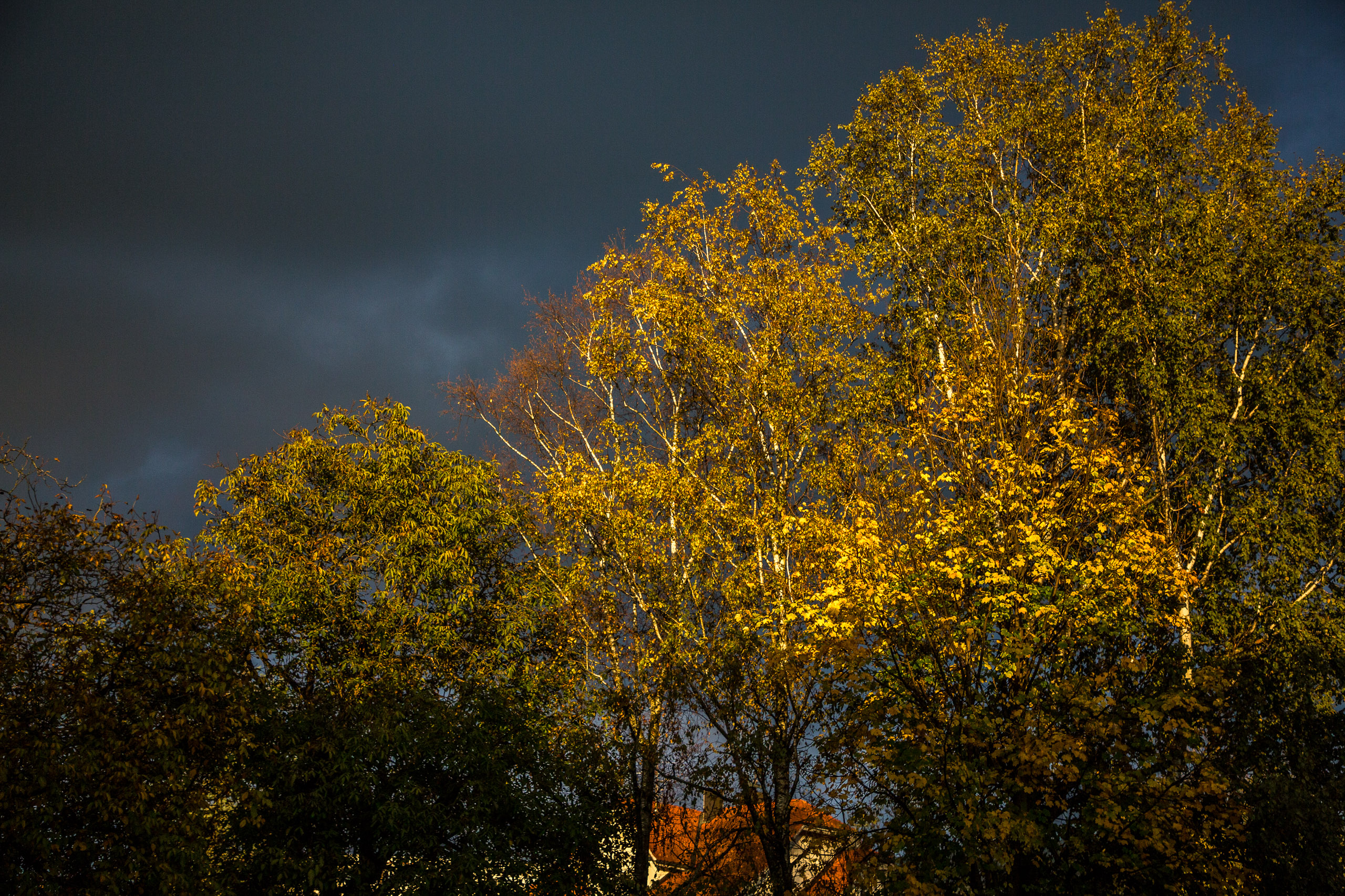 20171027172917 RD105186