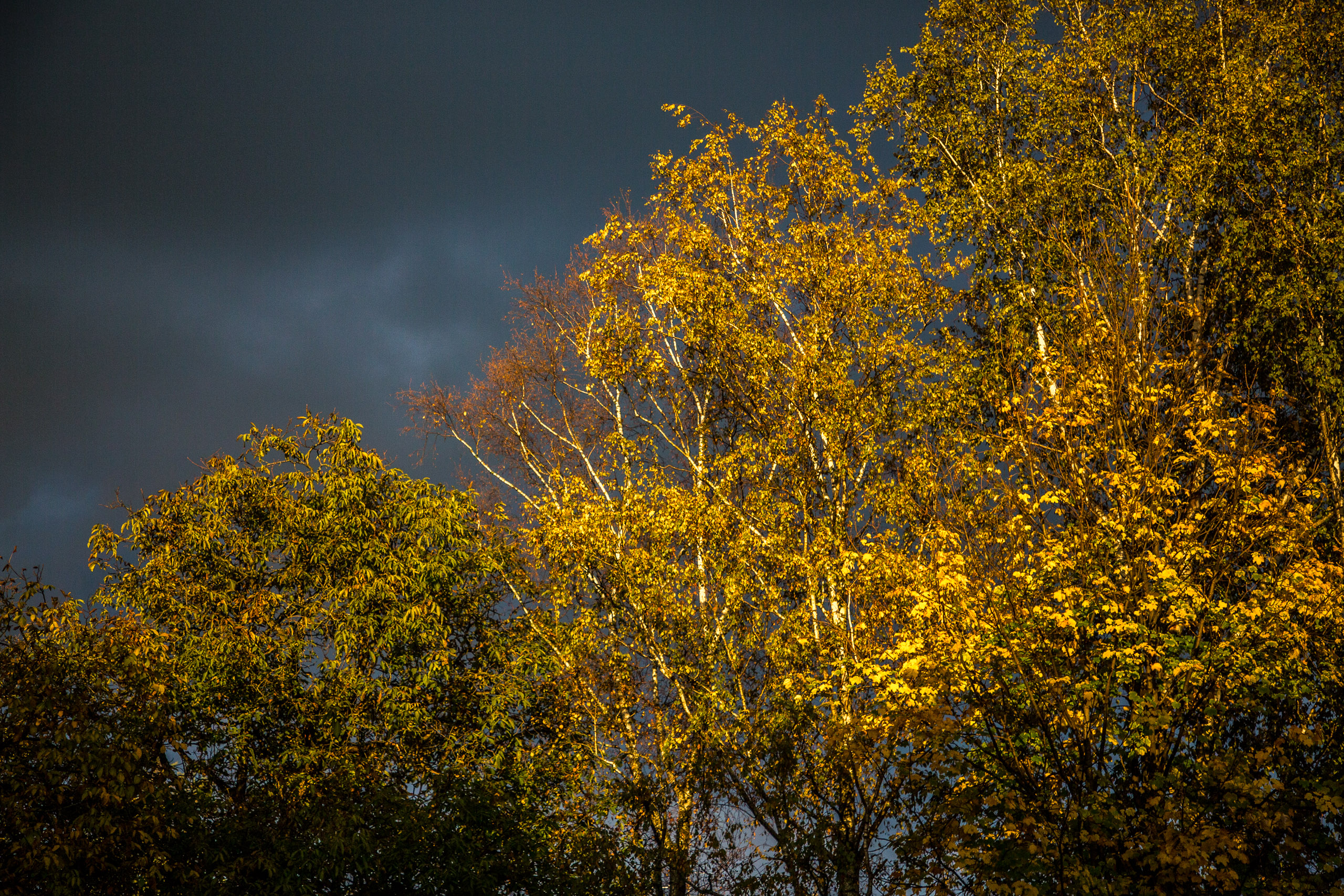 20171027172919 RD105190