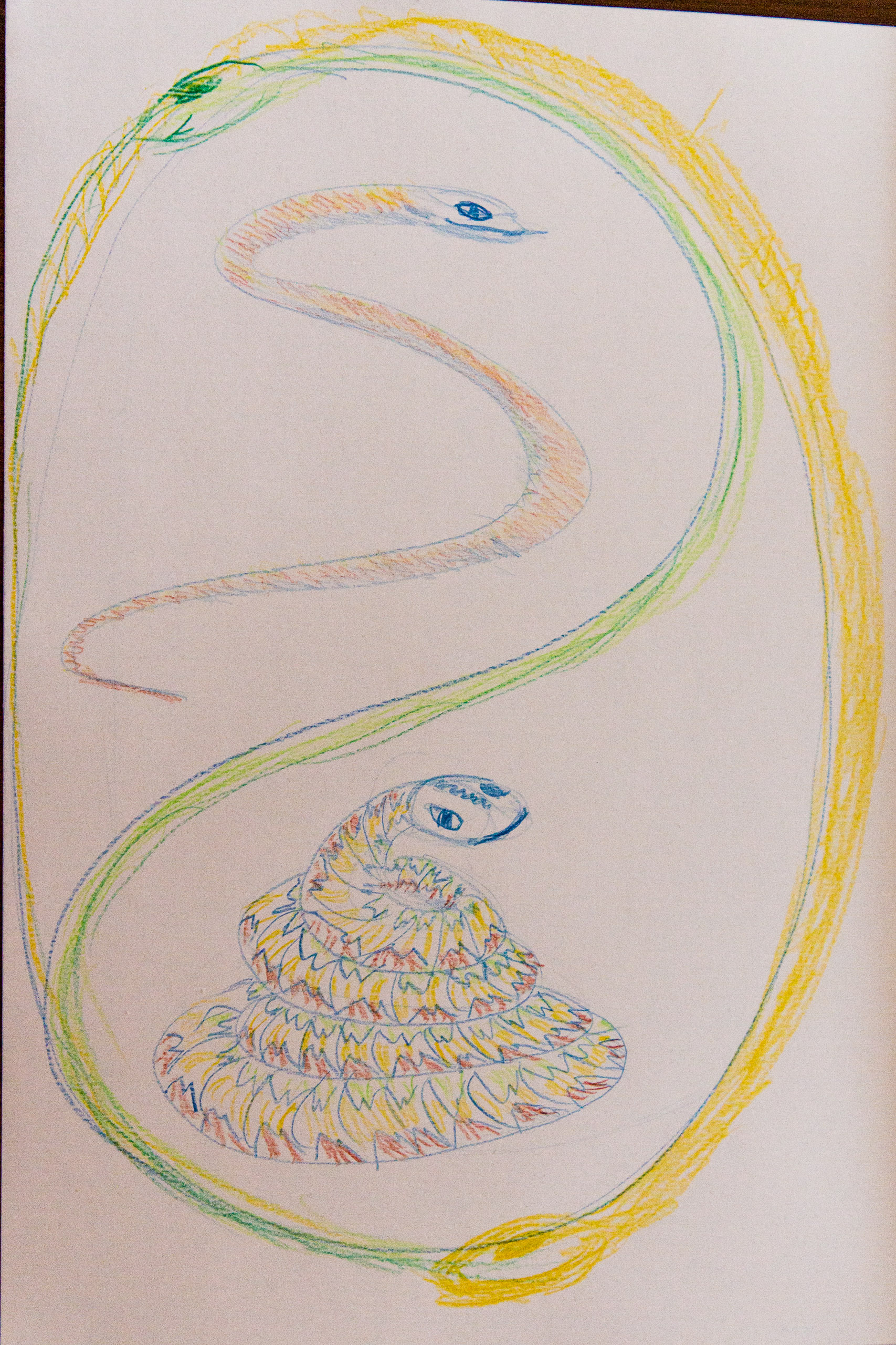 20171028115558 RD105291