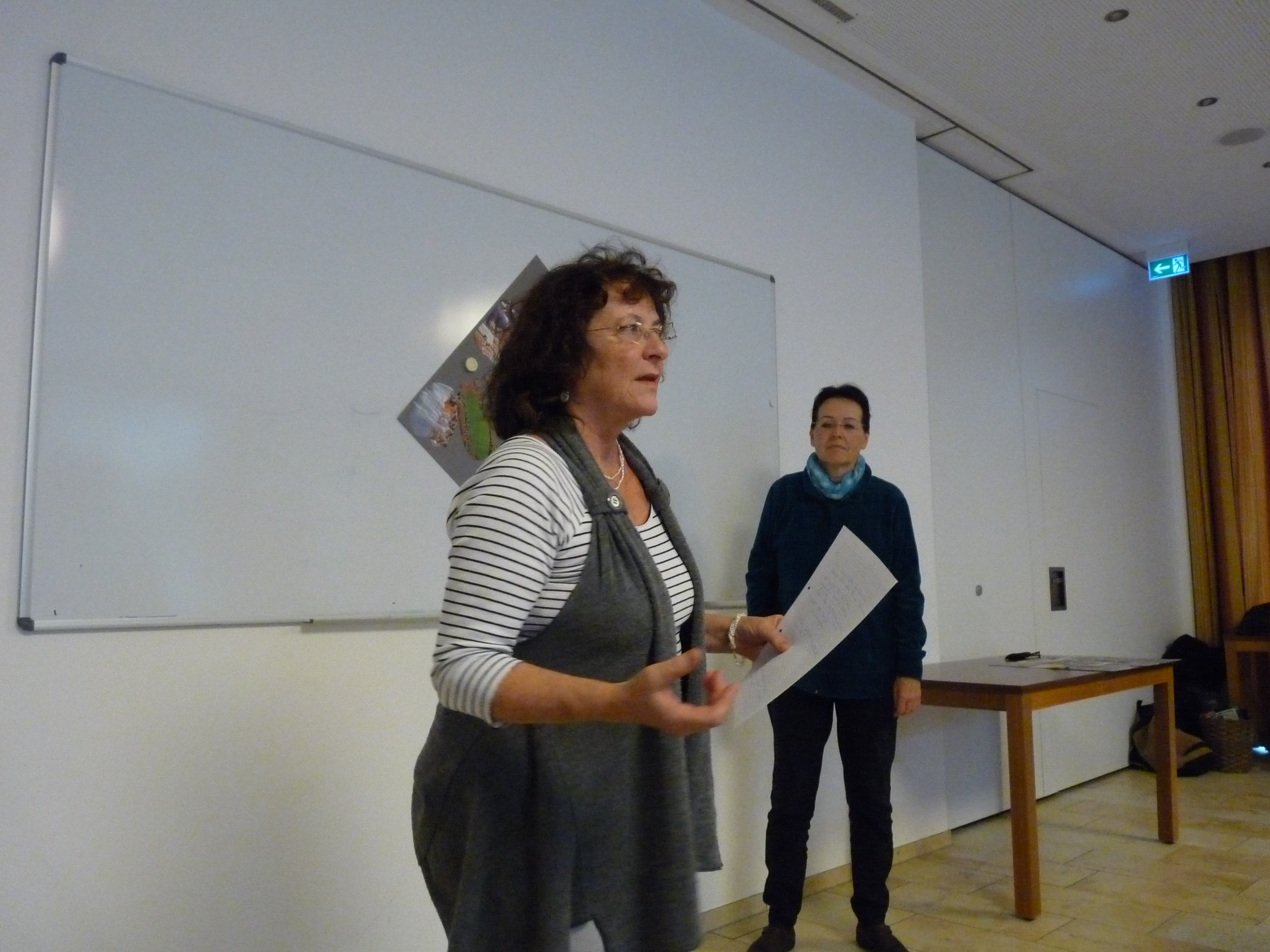 20171029110539 P1100828