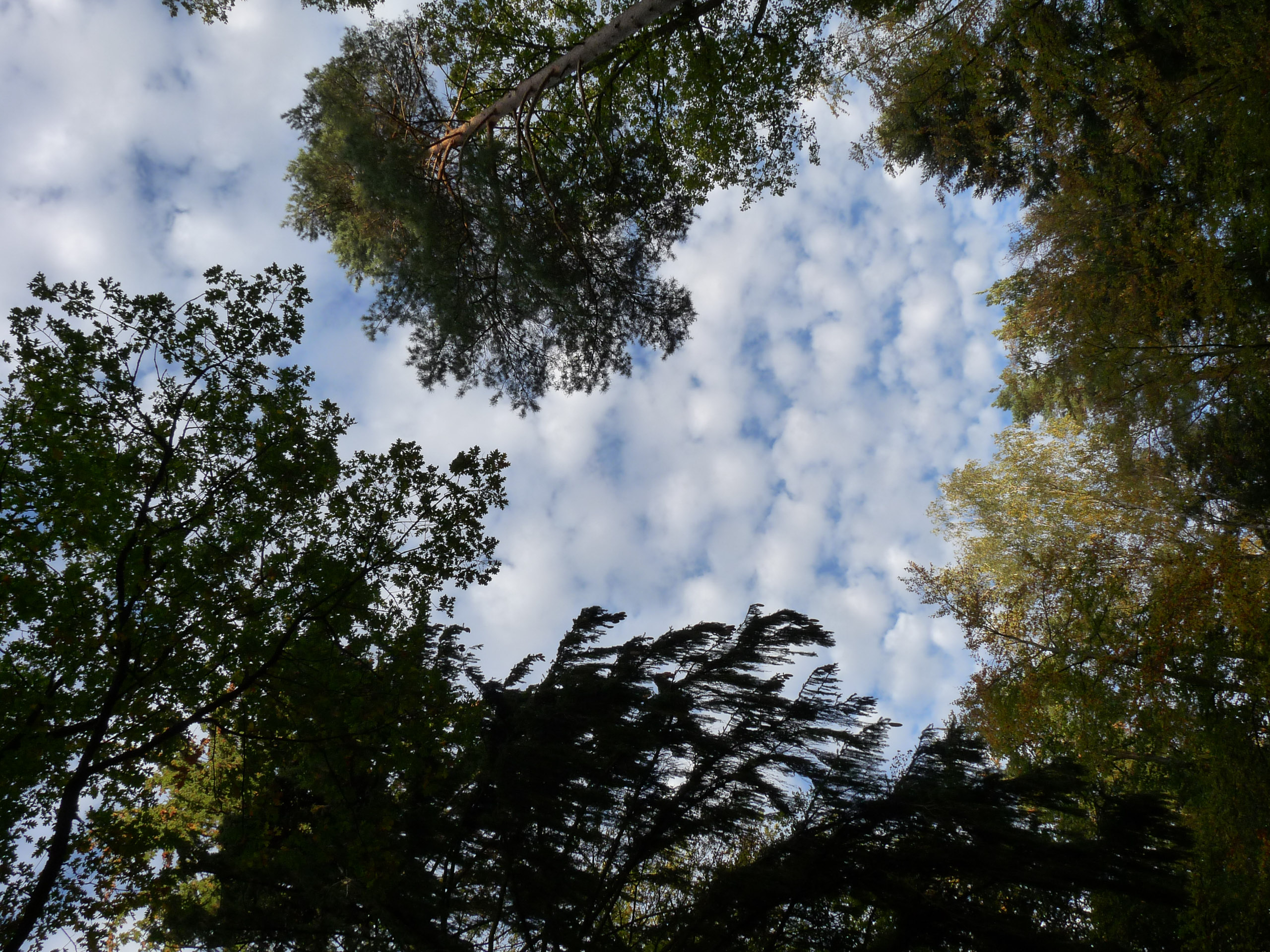 20181026164608 P1110998