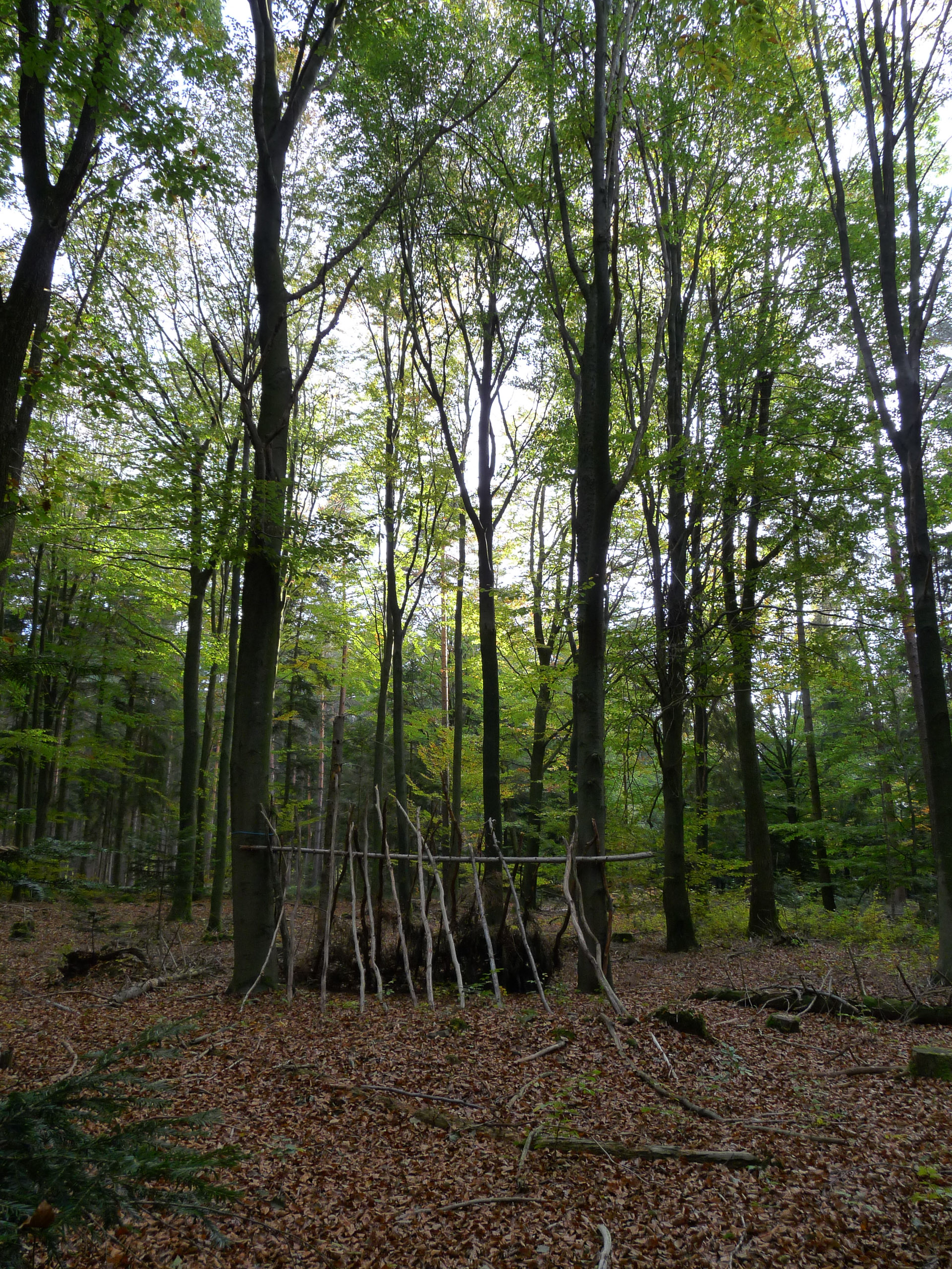 20181026165220 P1120005