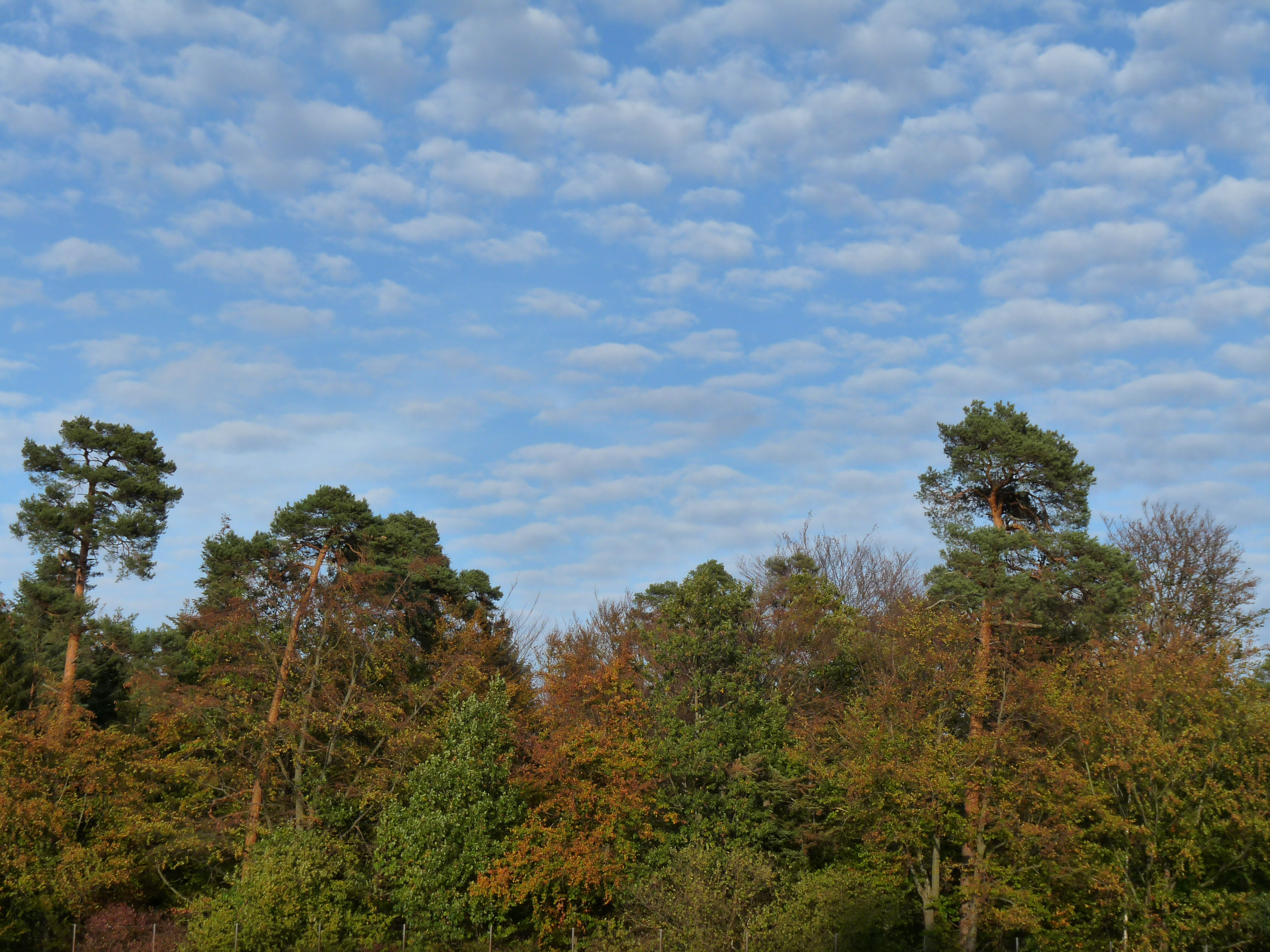 20181026165905 P1120006