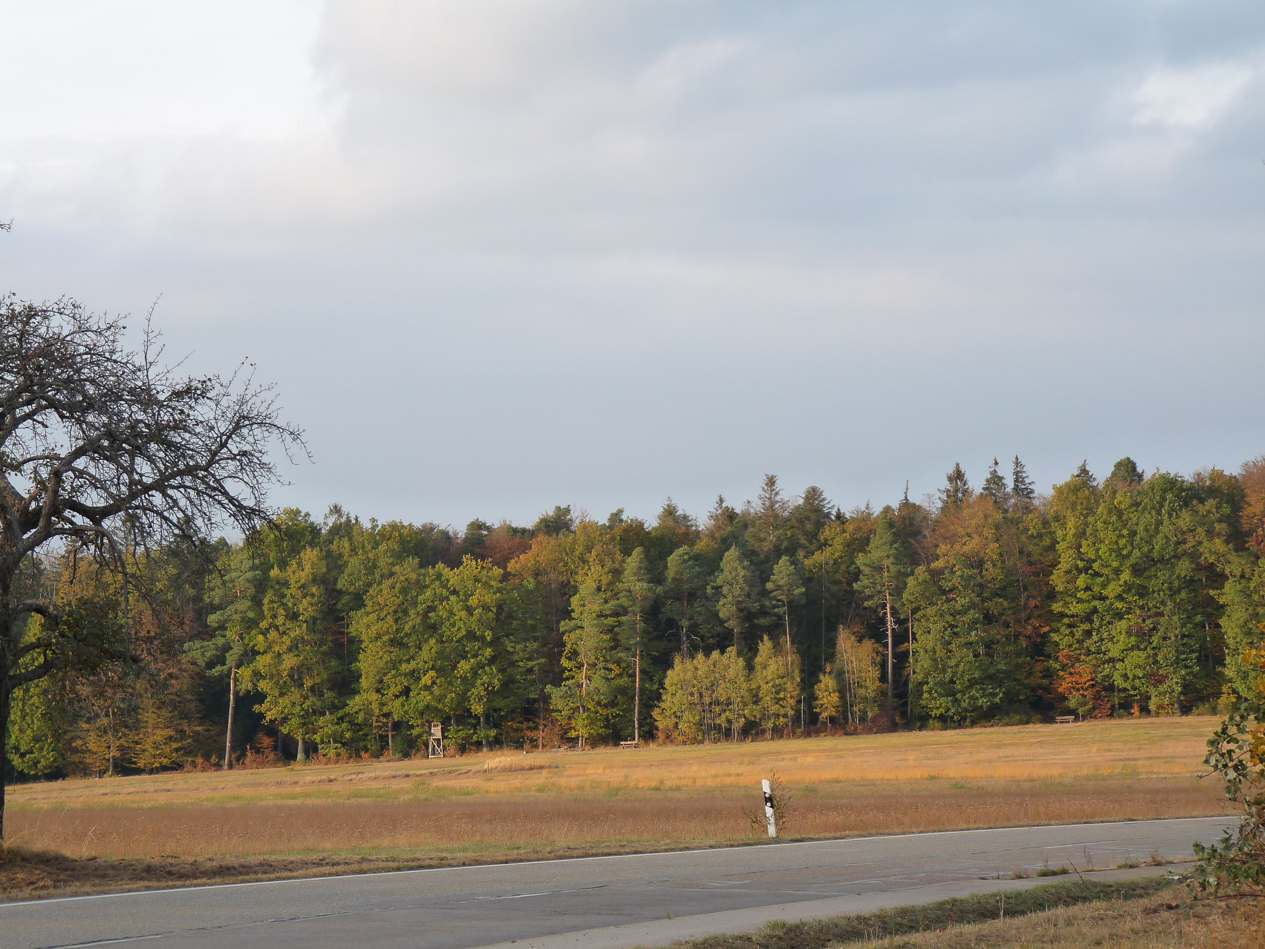 20181026170931 P1120012