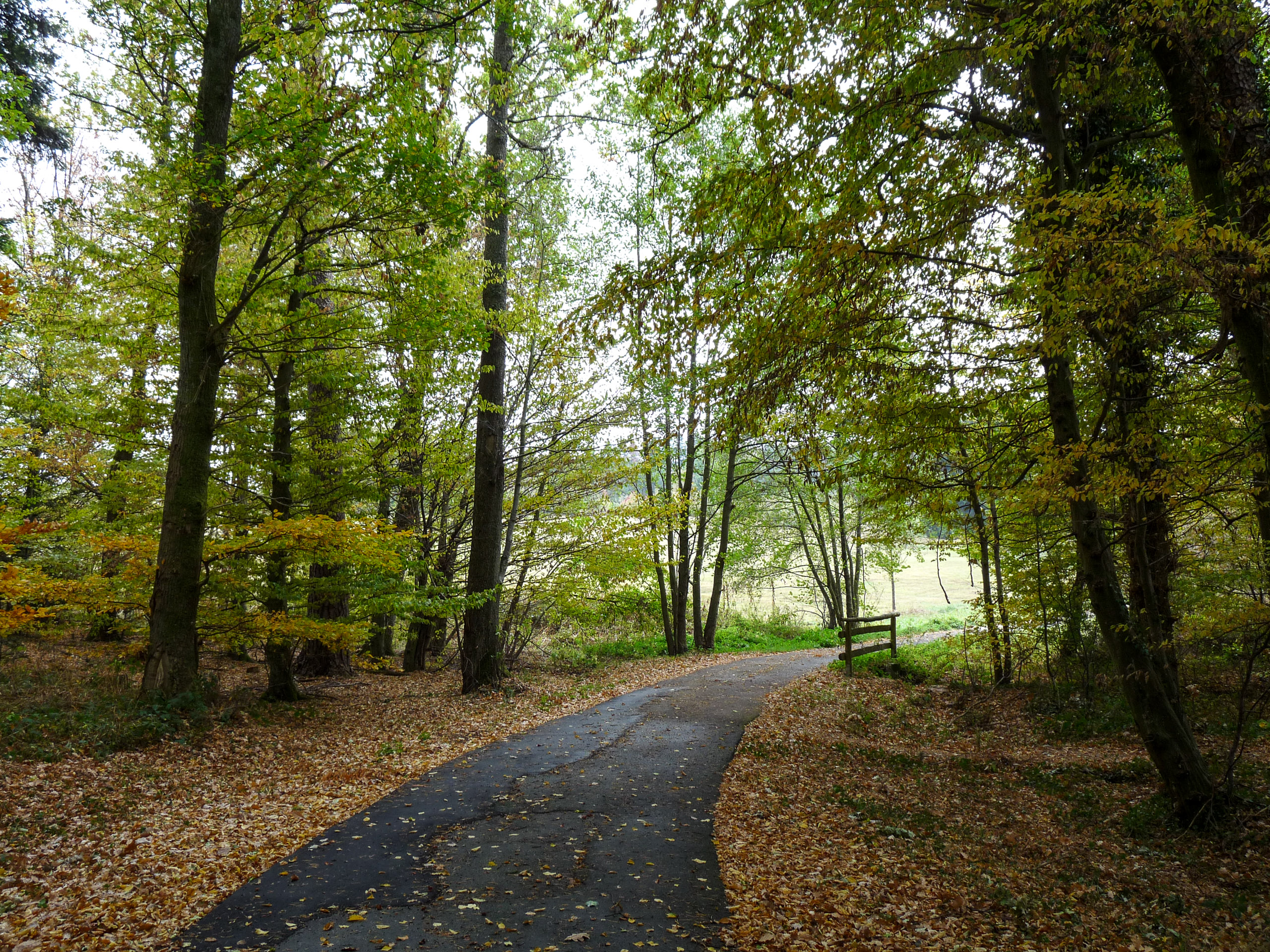 20181027130840 P1120038