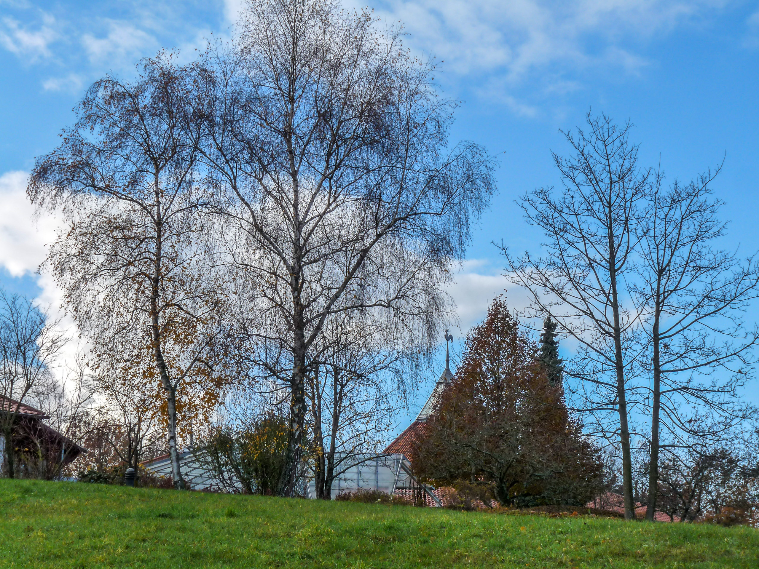 20191130131039 P1130122