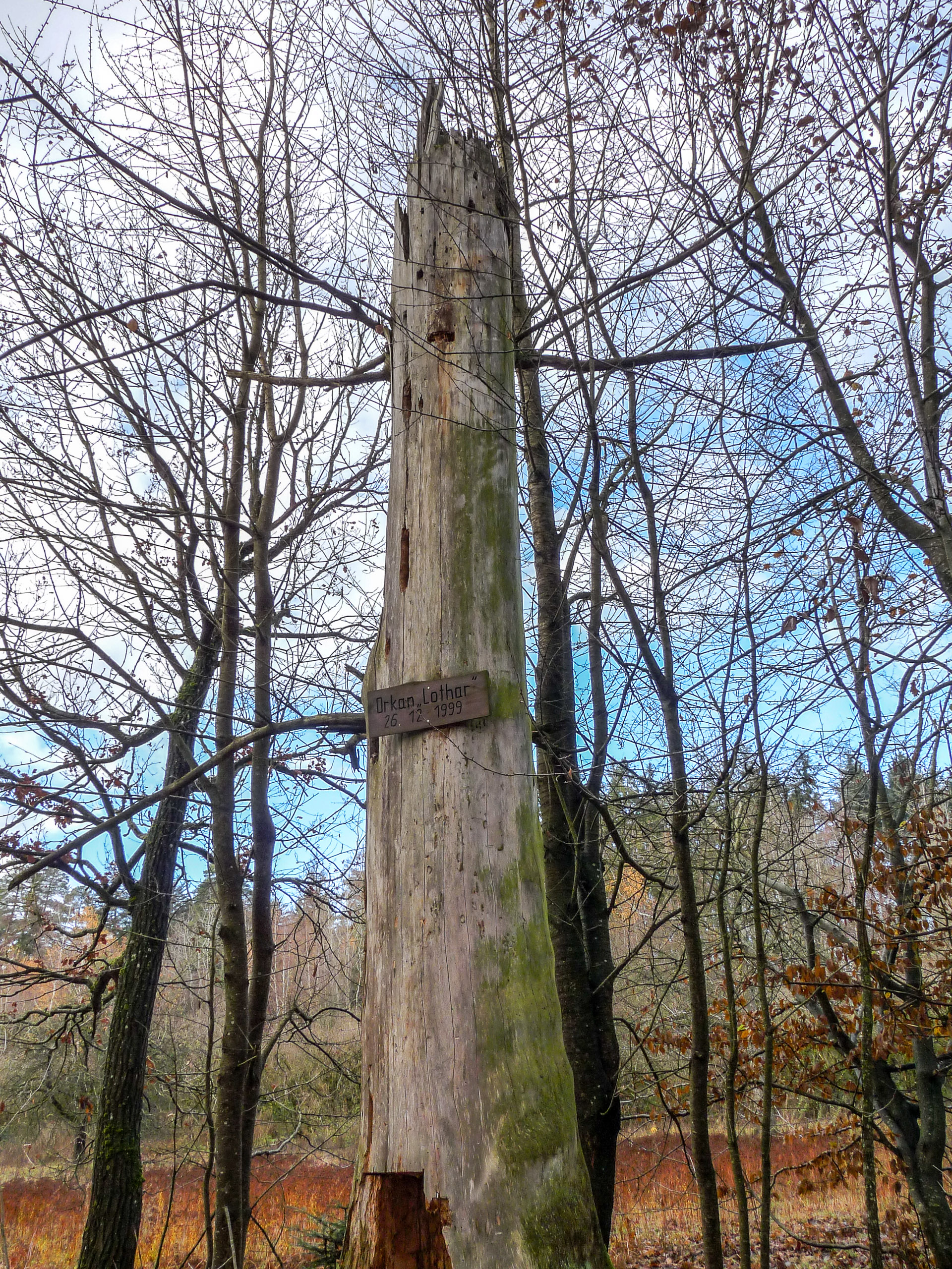 20191130132941 P1130127