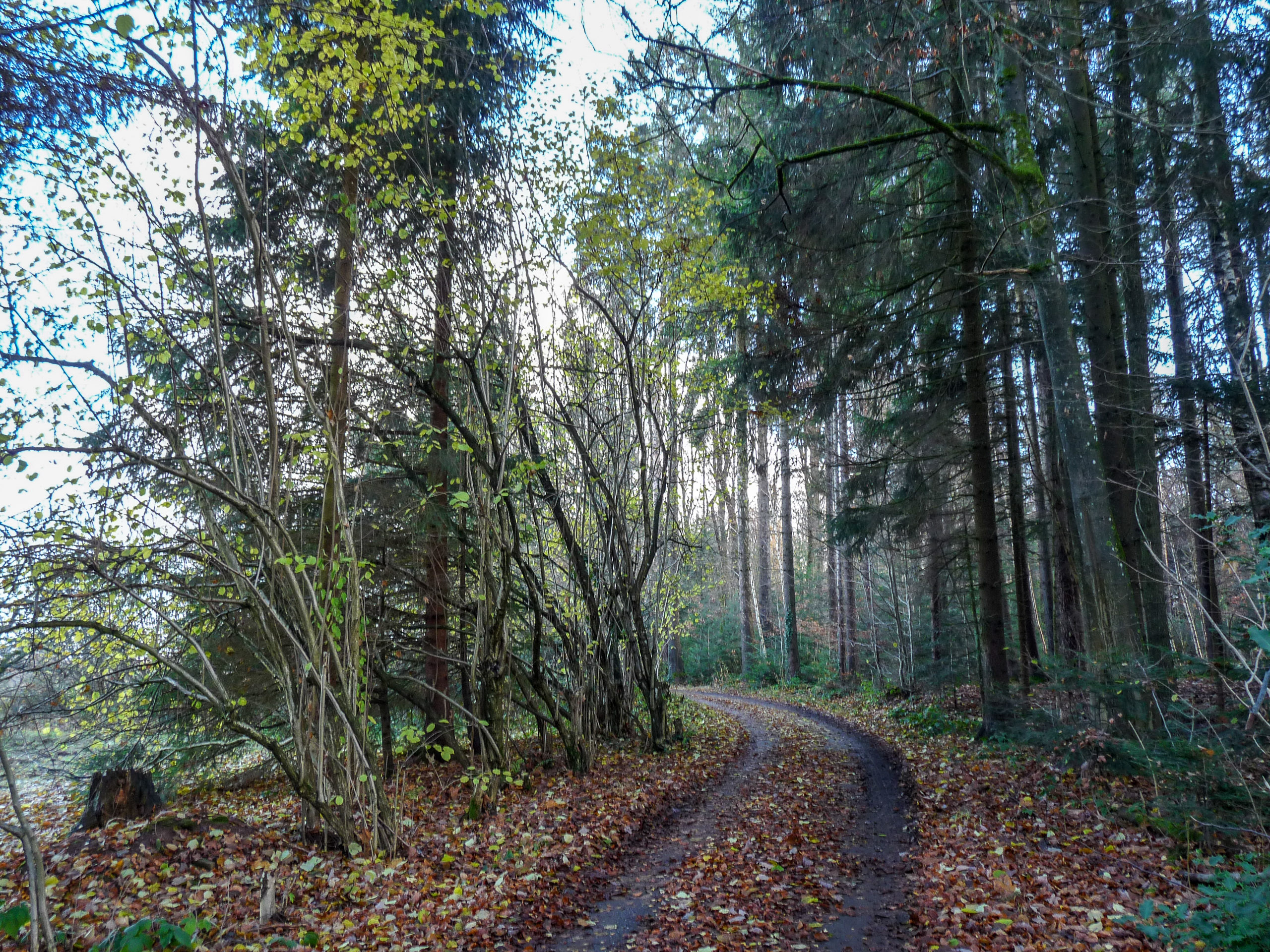 20191130135859 P1130132