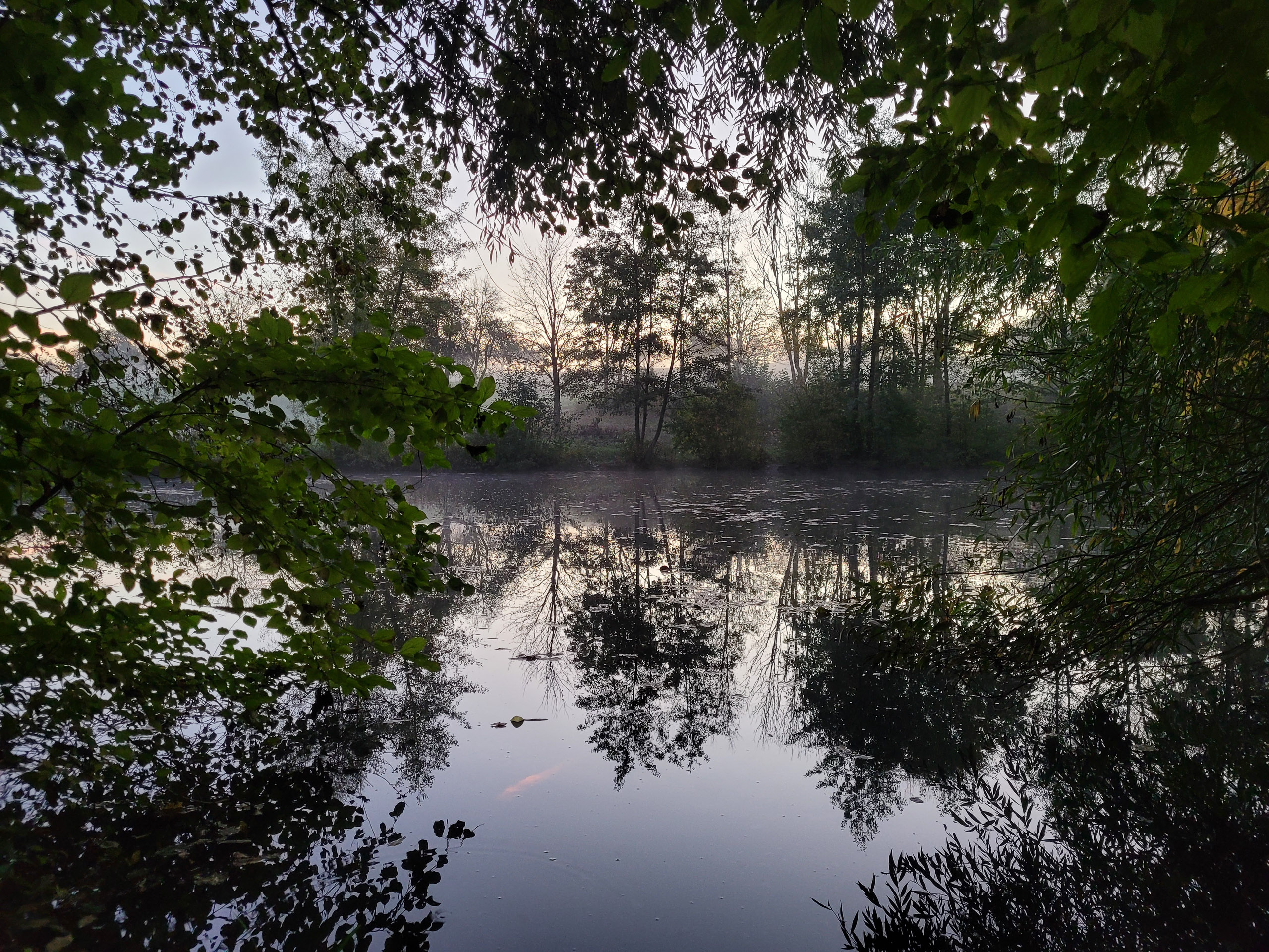 20221027074826 20221027 074826