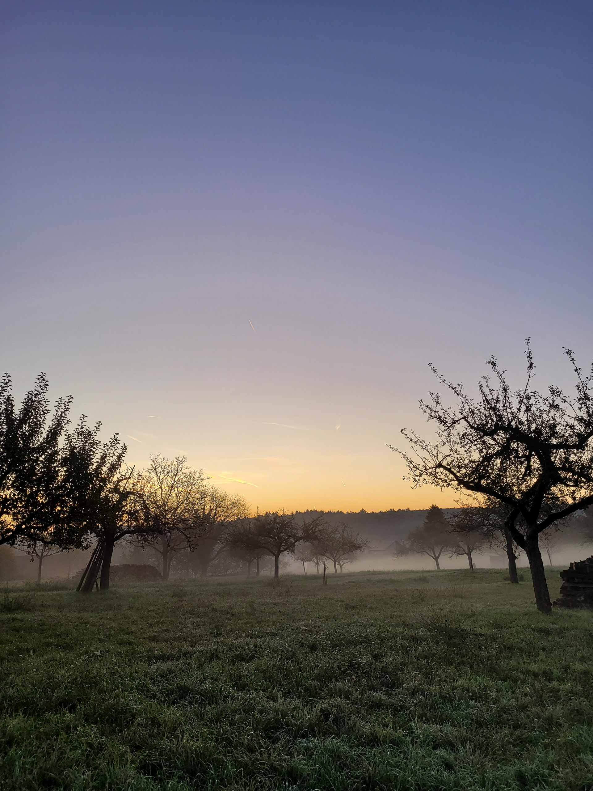 20221027075309 20221027 075309