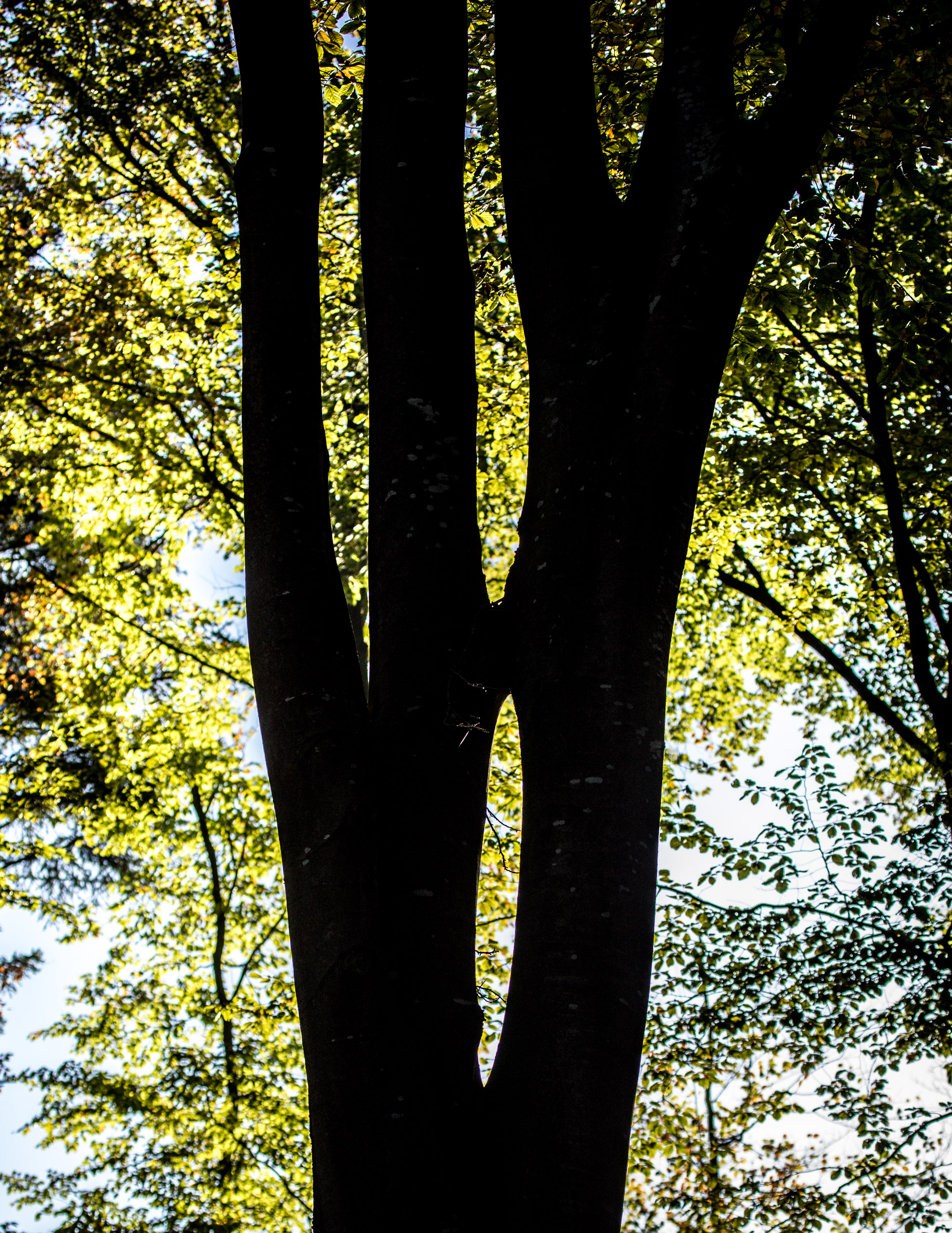 20221027160152 RD4 0025