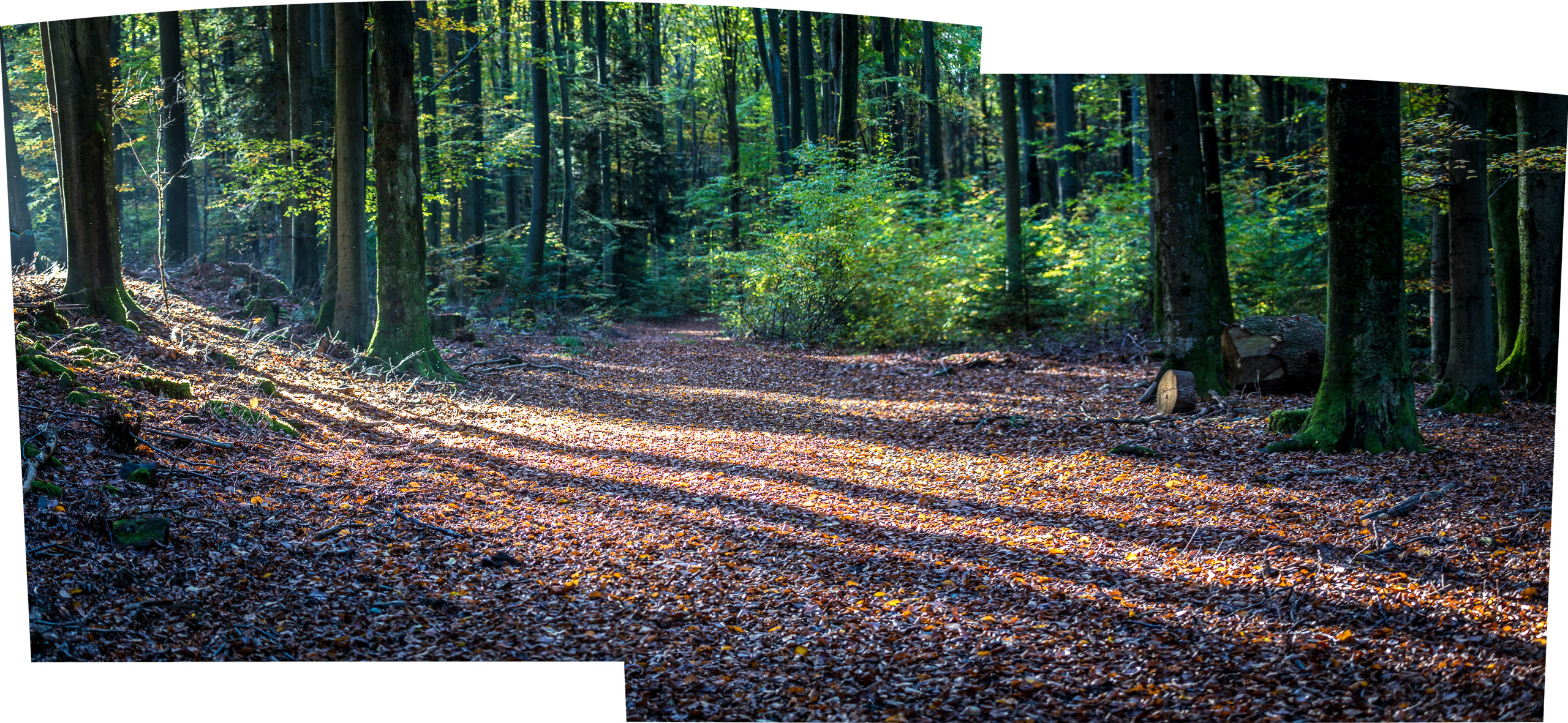 20221027160404 RD4 0031 Pano