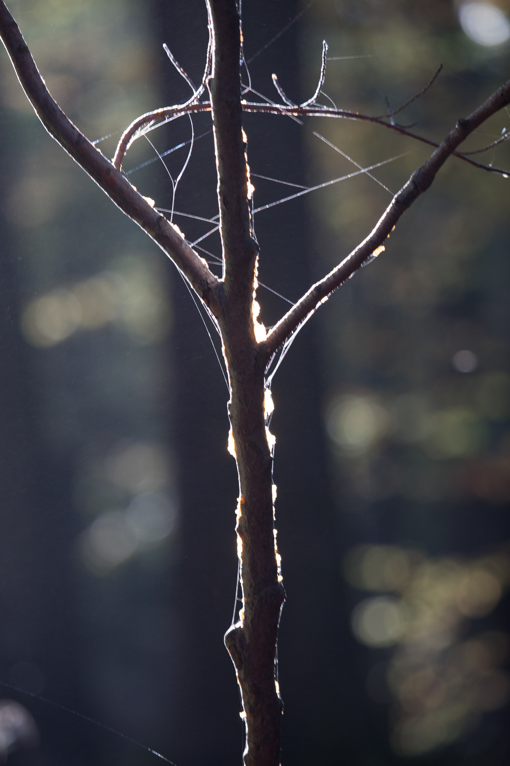 20221027160527 RD4 0048