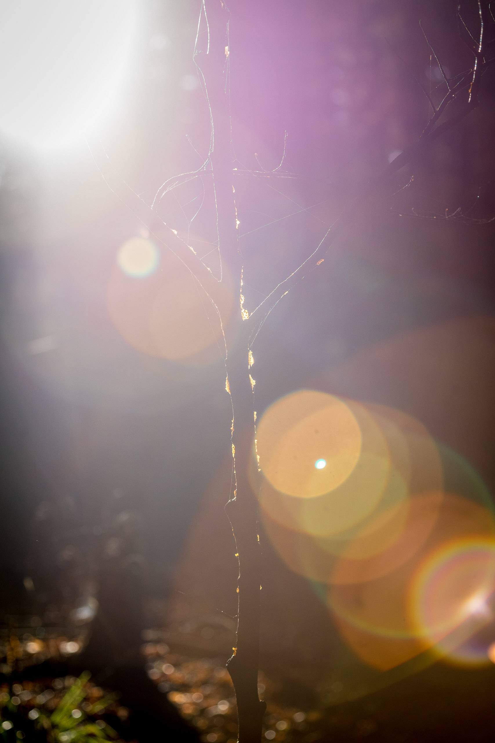 20221027160539 RD4 0052