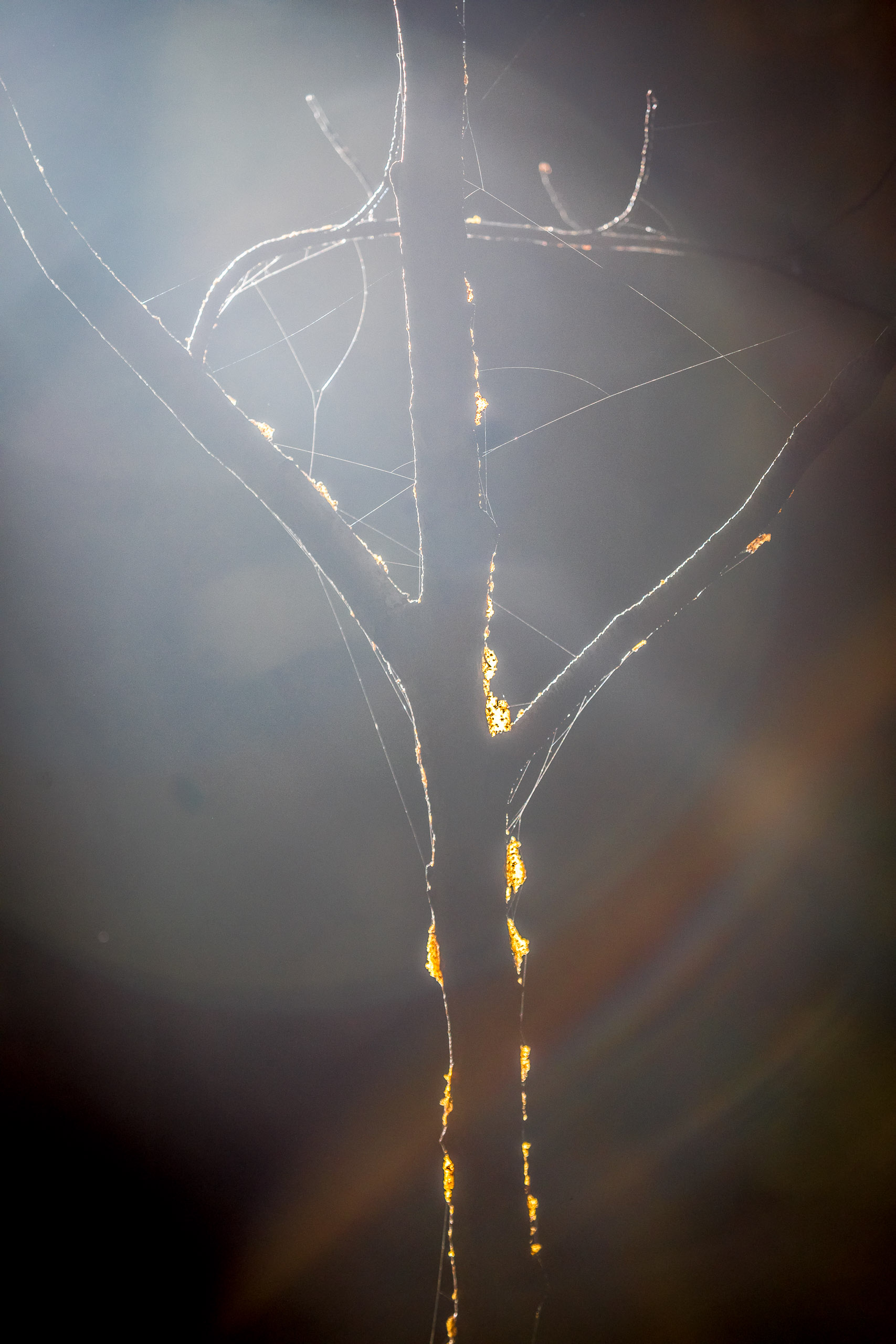 20221027160544 RD4 0056