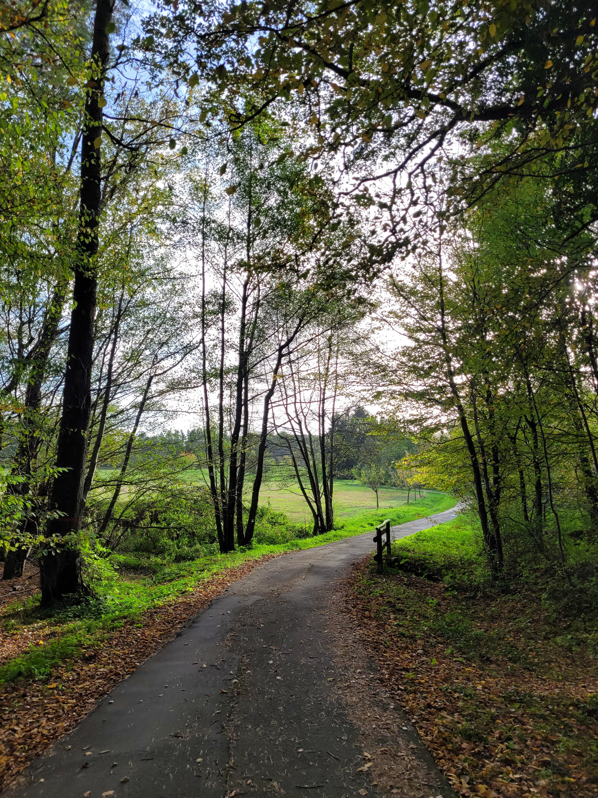 20221028155249 20221028 155249