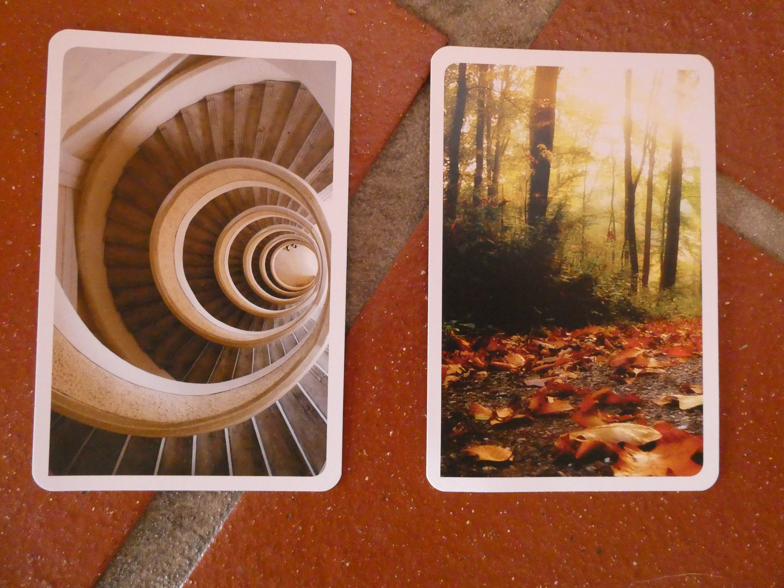 20221029122329 P1000081