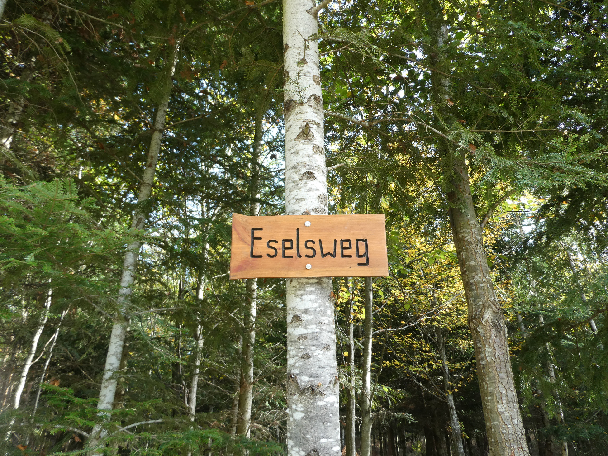 20221029132117 P1000085