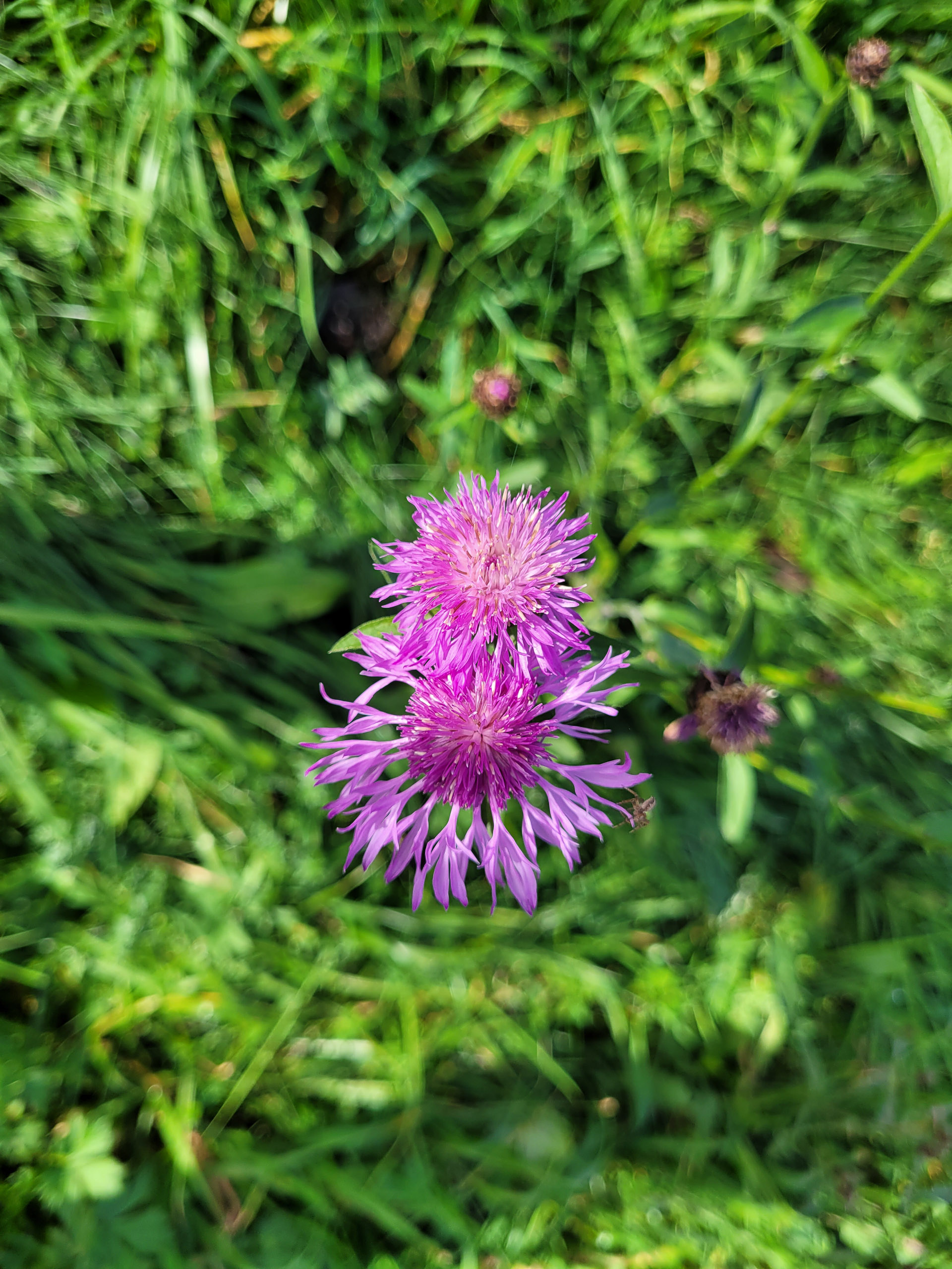 20221029134229 20221029 134229